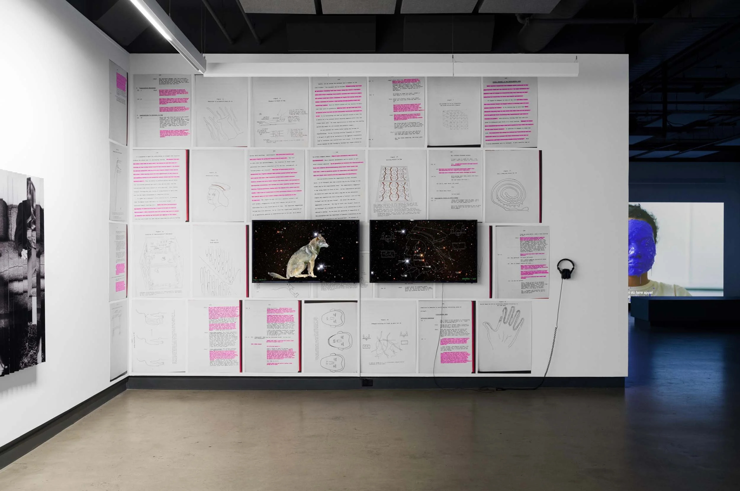  © Maïder Fortuné and Annie MacDonell, view of the exhibition  Shadow Vision , Dazibao, 2025. Photo: Atlas documentation. 