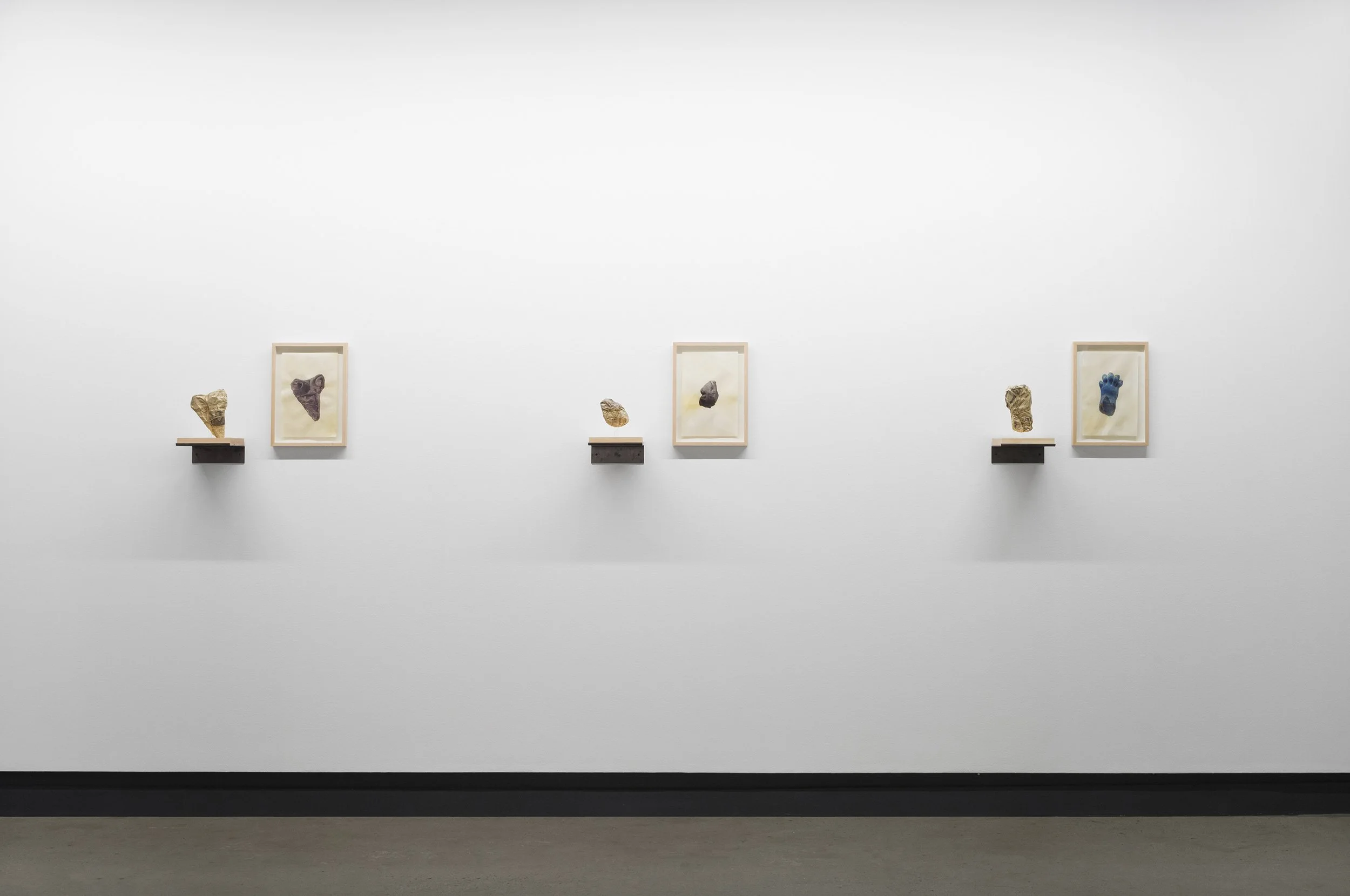  © Anahita Norouzi,  The Weight of Distant Objects  (2025) in the exhibition  The Art Gallery Problem , Dazibao, 2026. Co-presented with The Blackwood, University of Toronto Mississauga. Photos: Atlas documentation. 