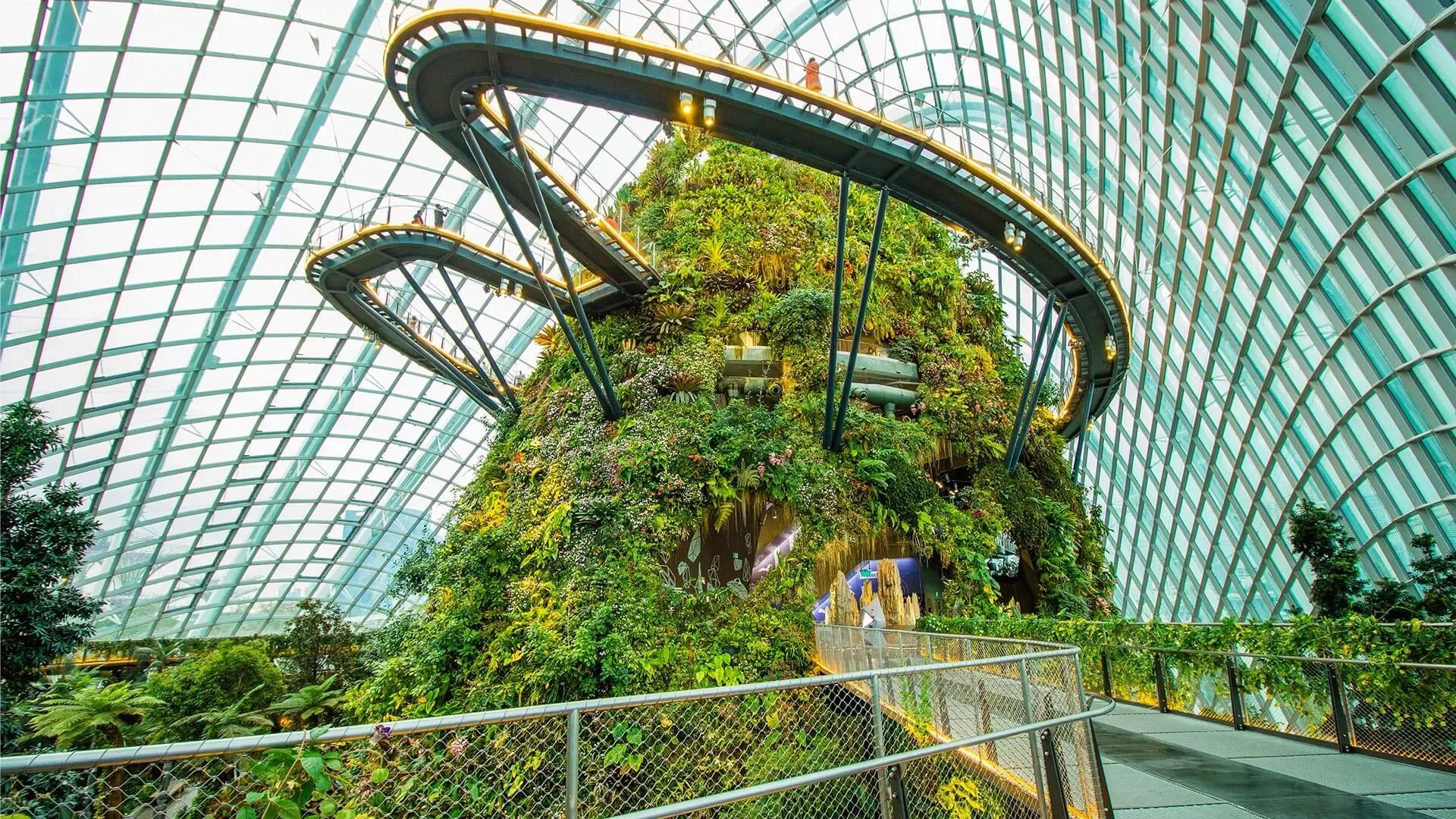  Examples of biophilic architecture. 