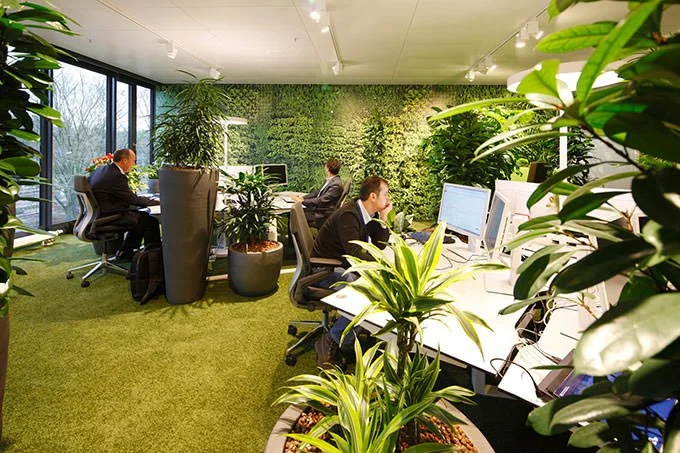  Examples of biophilic architecture. 