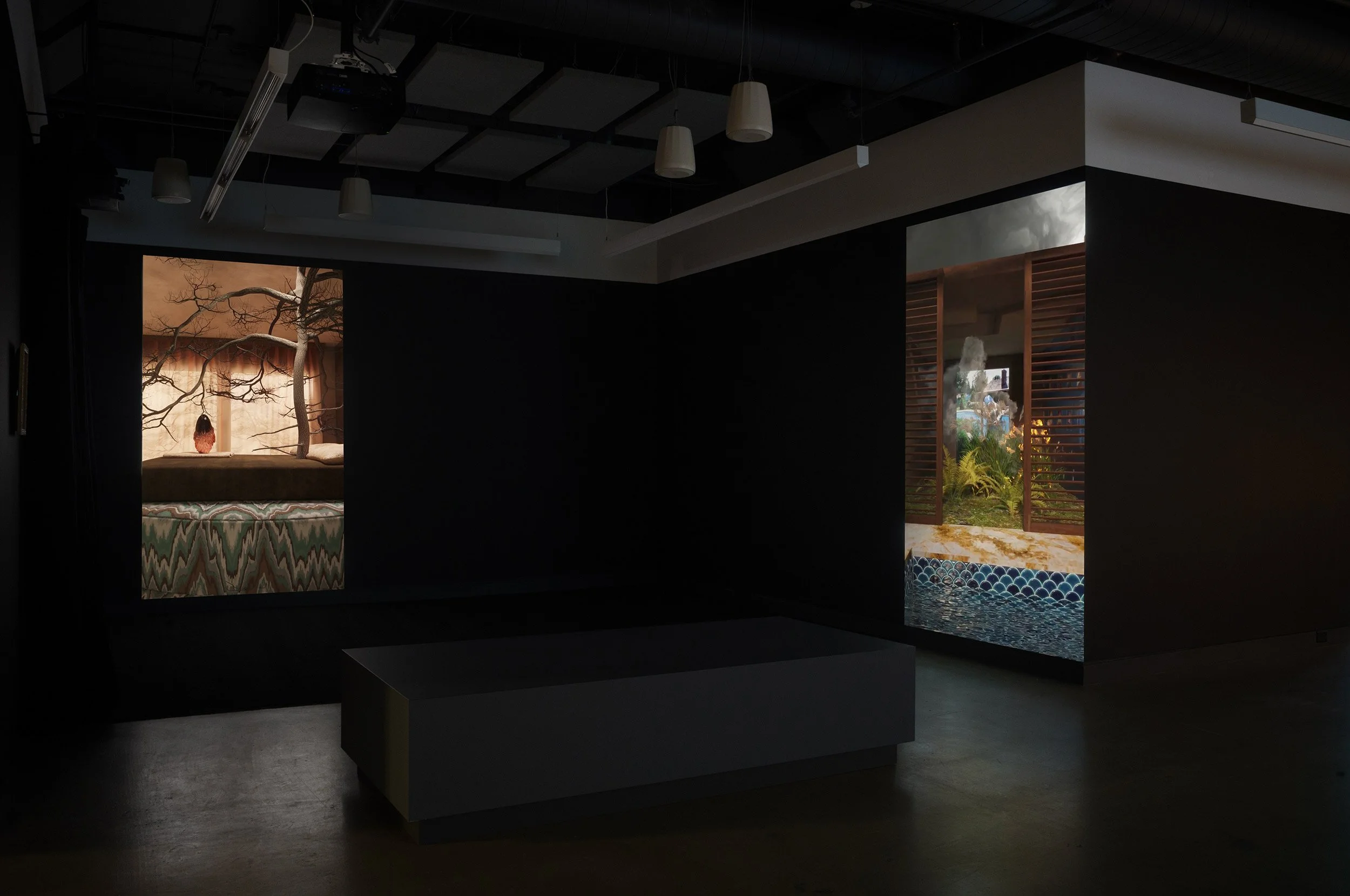  © Philippe-Aubert Gauthier and Tanya St-Pierre, view of the exhibition  Intact au milieu des flammes — Dans une série d'architectures vivantes , Dazibao, 2026. Photo : Atlas documentation 