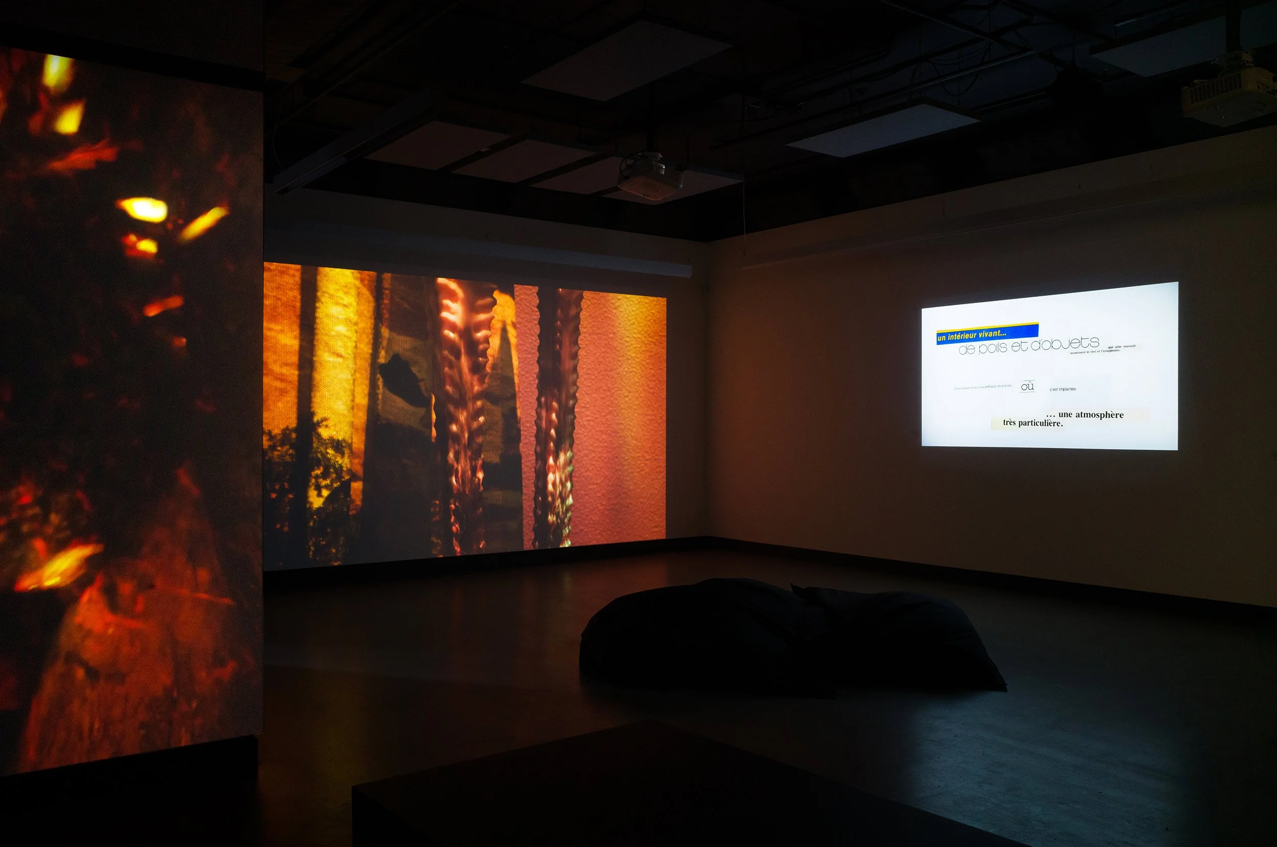  © Philippe-Aubert Gauthier and Tanya St-Pierre, view of the exhibition  Intact au milieu des flammes — Dans une série d'architectures vivantes , Dazibao, 2026. Photo : Atlas documentation 