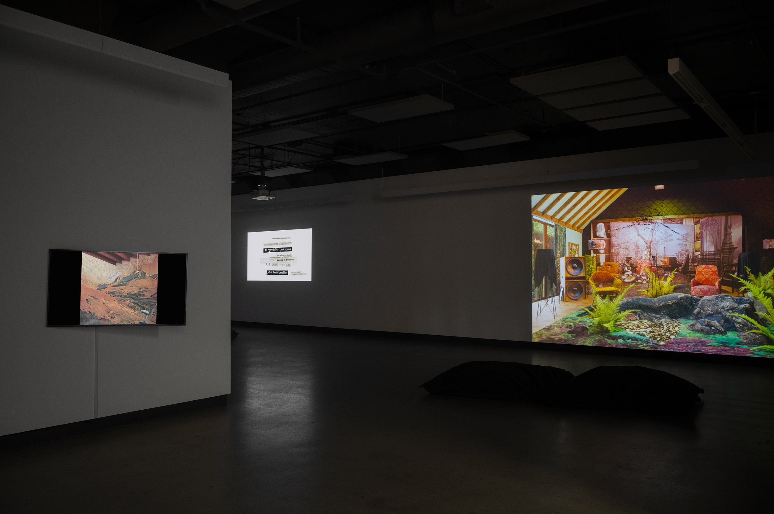  © Philippe-Aubert Gauthier and Tanya St-Pierre, view of the exhibition  Intact au milieu des flammes — Dans une série d'architectures vivantes , Dazibao, 2026. Photo : Atlas documentation 
