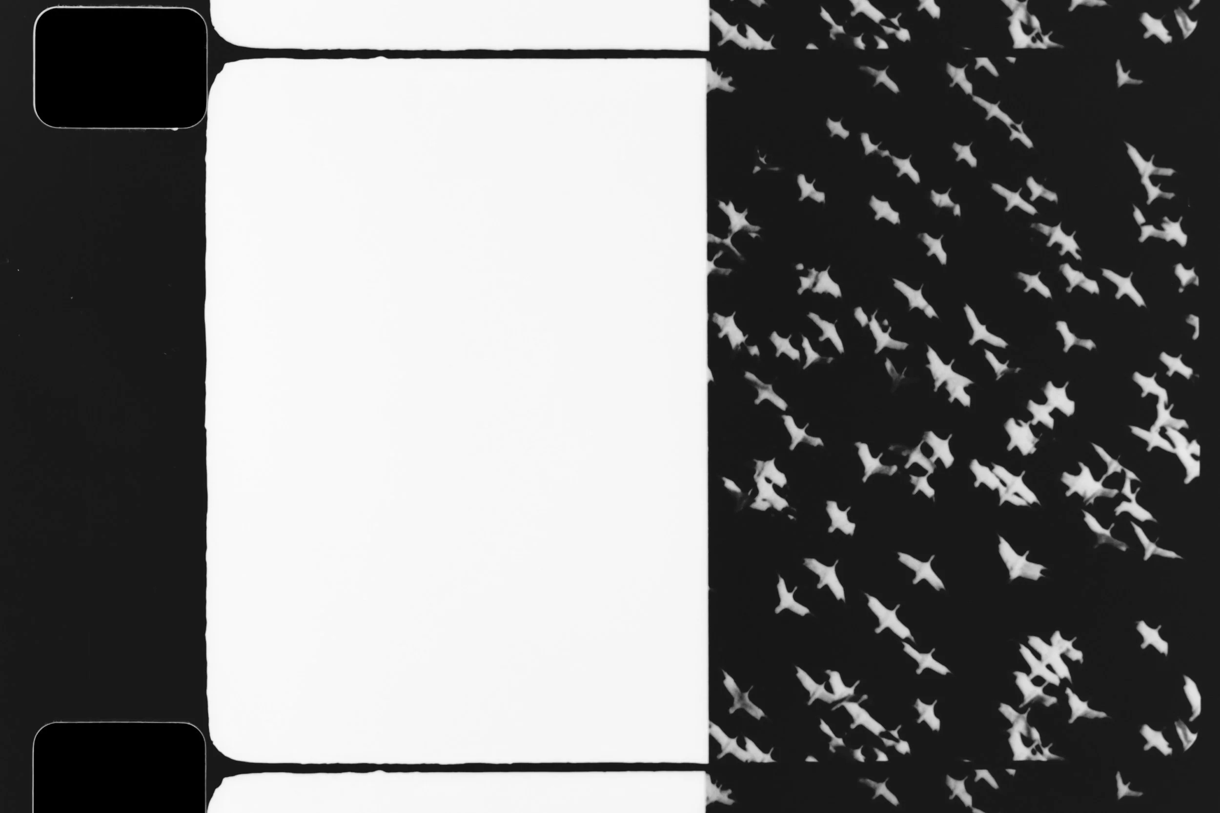  © Lisa Lipton,  These Rhythms , video still (2023) 