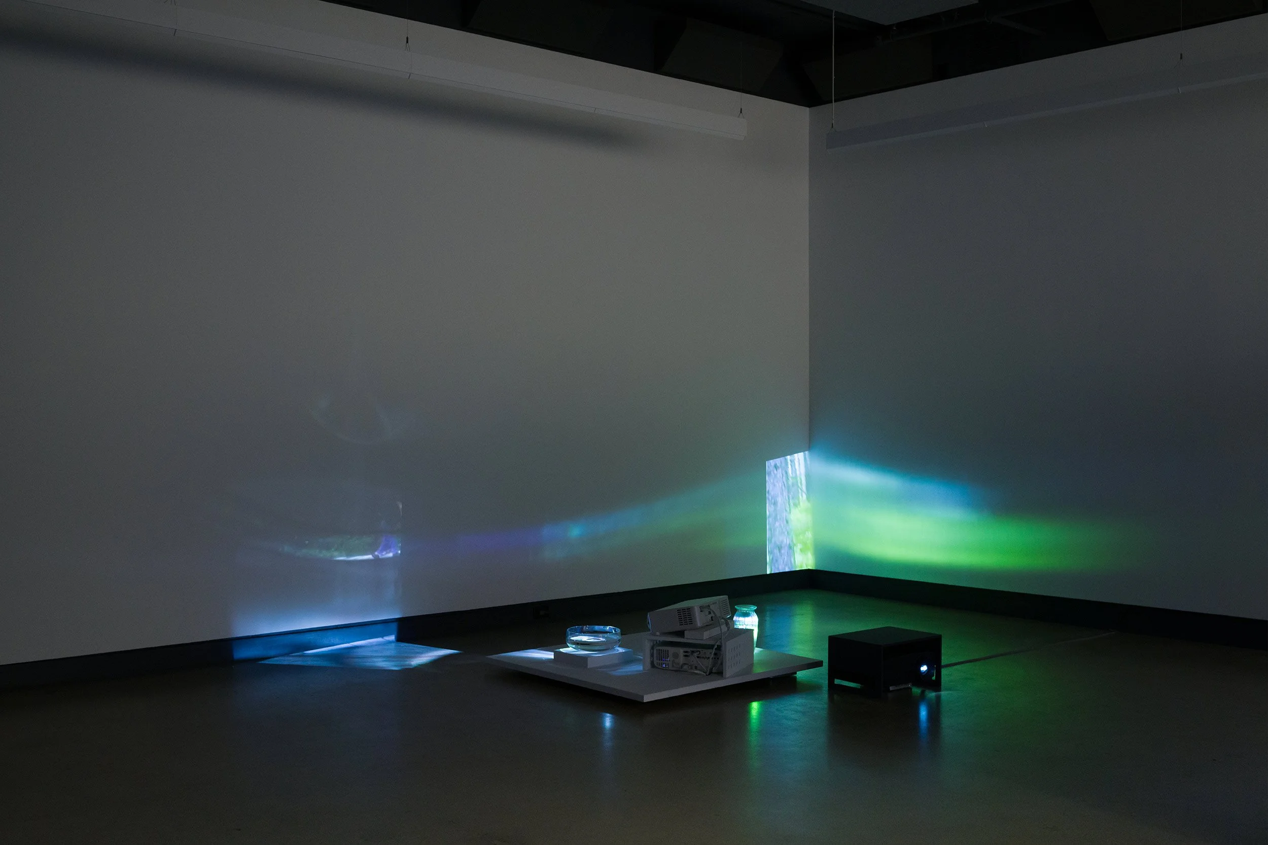  © Tyson Houseman, view of the exhibition  NDN Time , Dazibao, 2026. Photo: Atlas documentation 