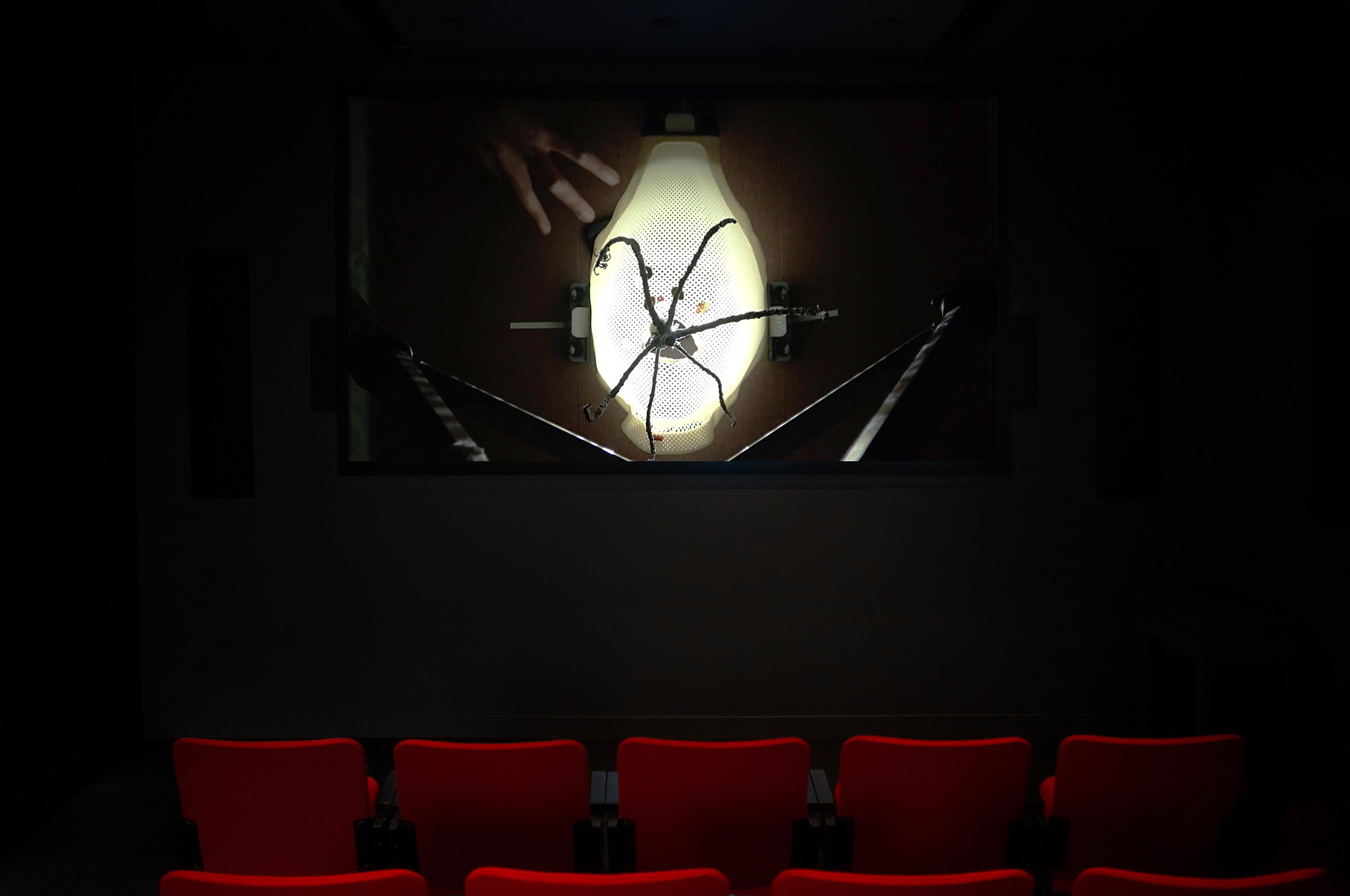  © Vijay Masharani, view of the exhibition  Selected Videos , Dazibao, 2026. Photo: Atlas documentation 