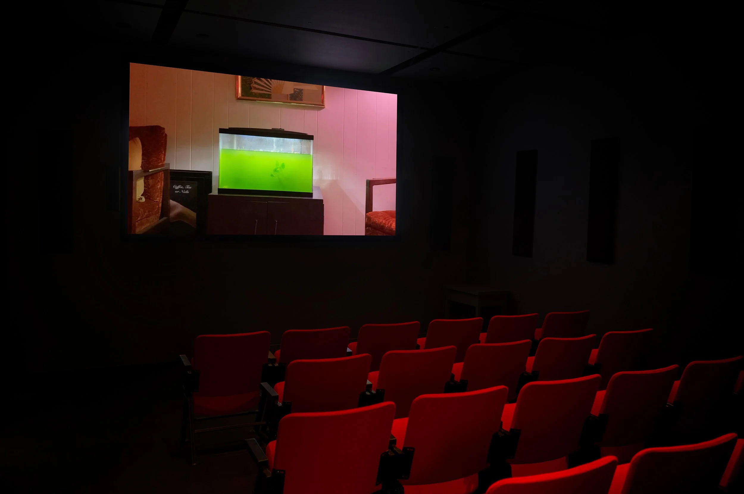  © Vijay Masharani, view of the exhibition  Selected Videos , Dazibao, 2026. Photo: Atlas documentation 