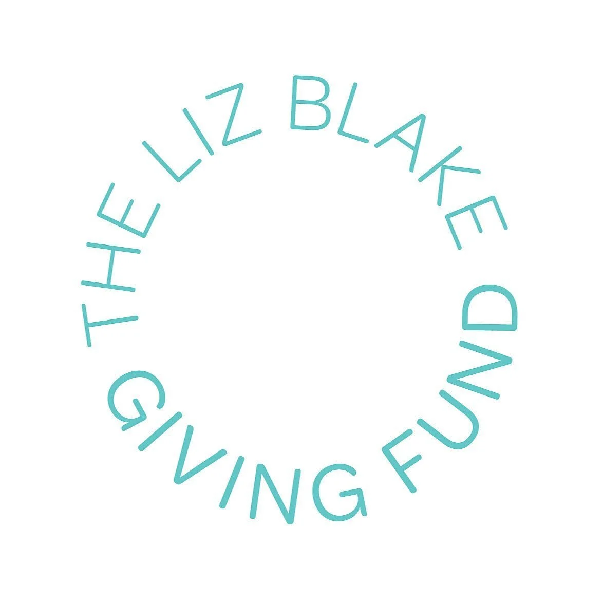 finishing up a busy year with great clients. liz blake giving fund is live!
