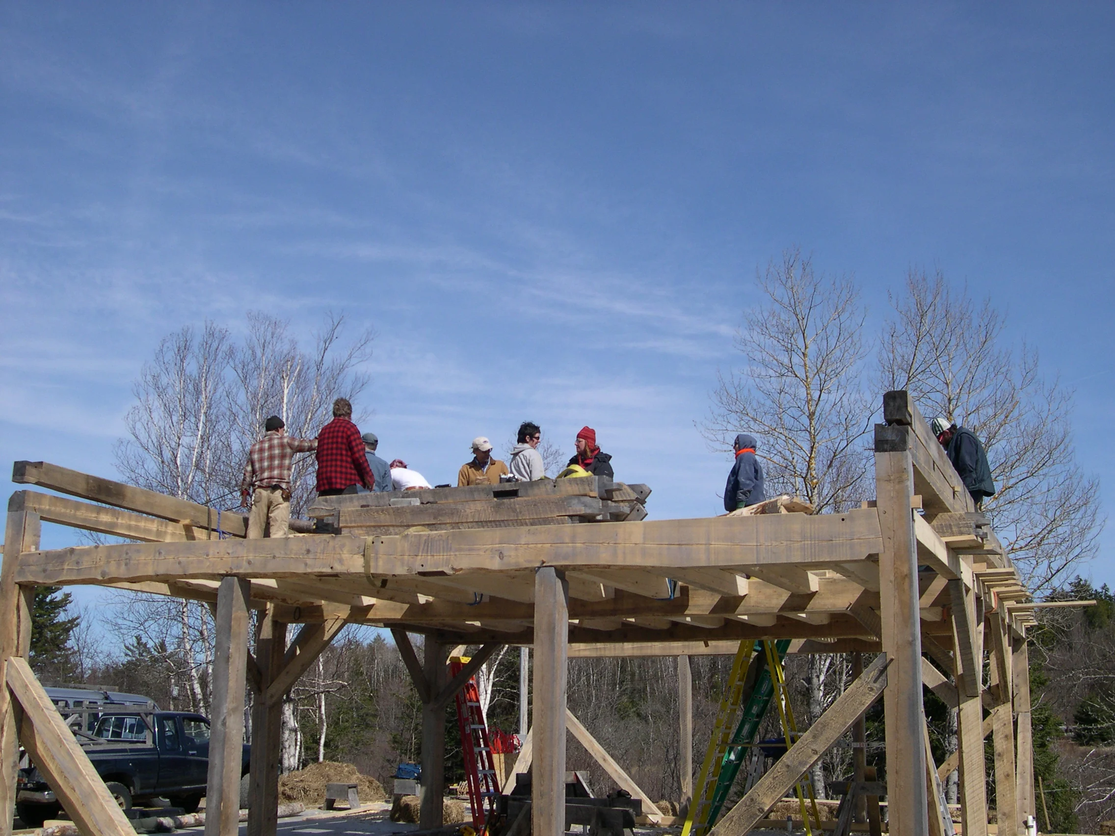 Celebrating Our Roots