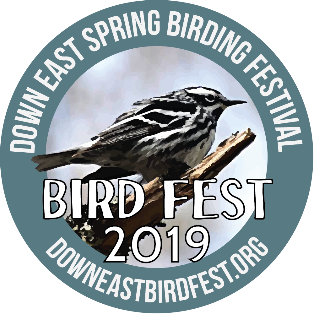 Bird Fest Logo 2019.png
