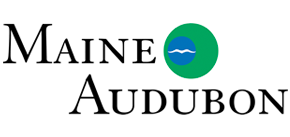 Maine-Audubon.gif