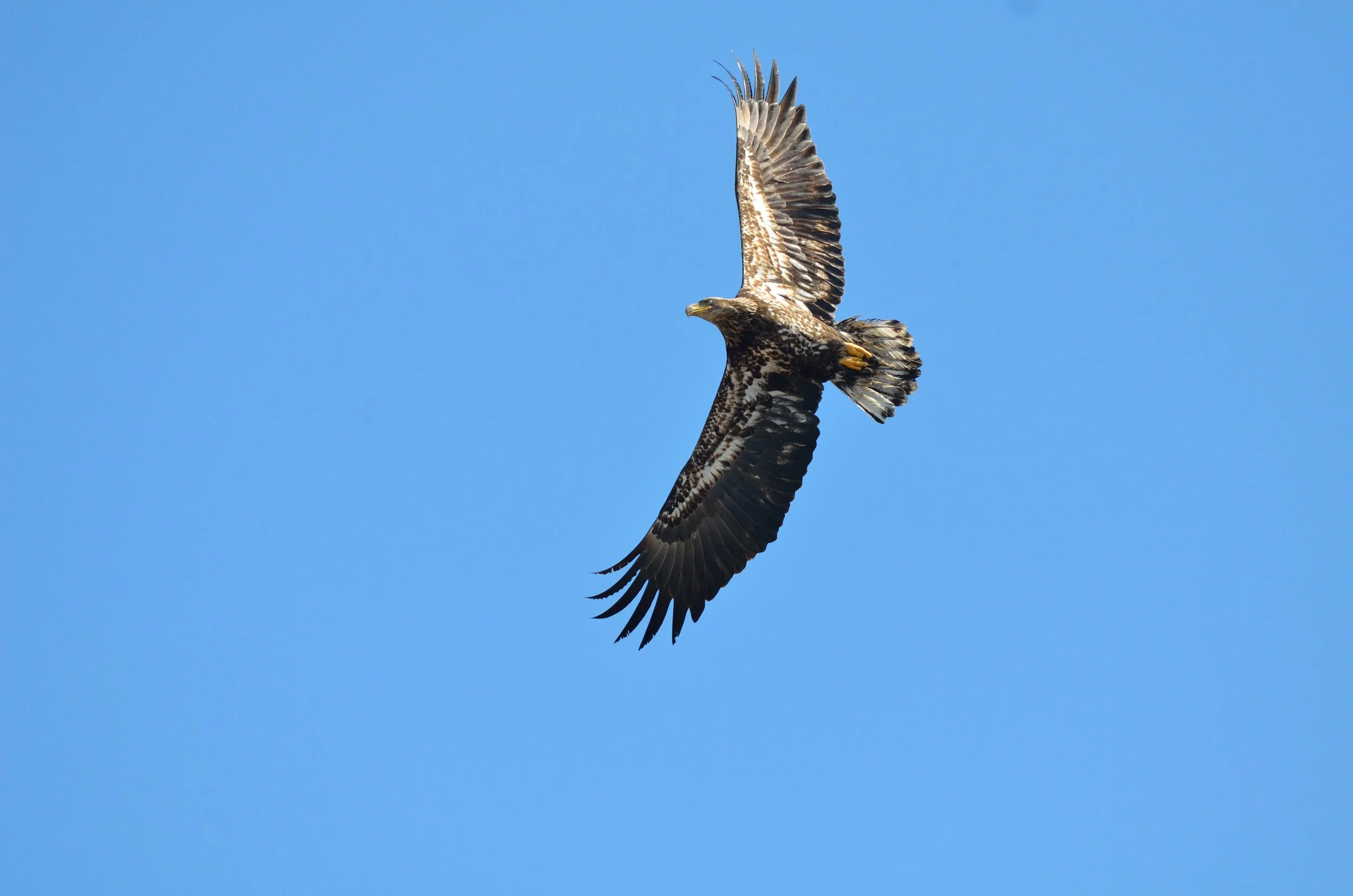 Moving Event: Round The Bay