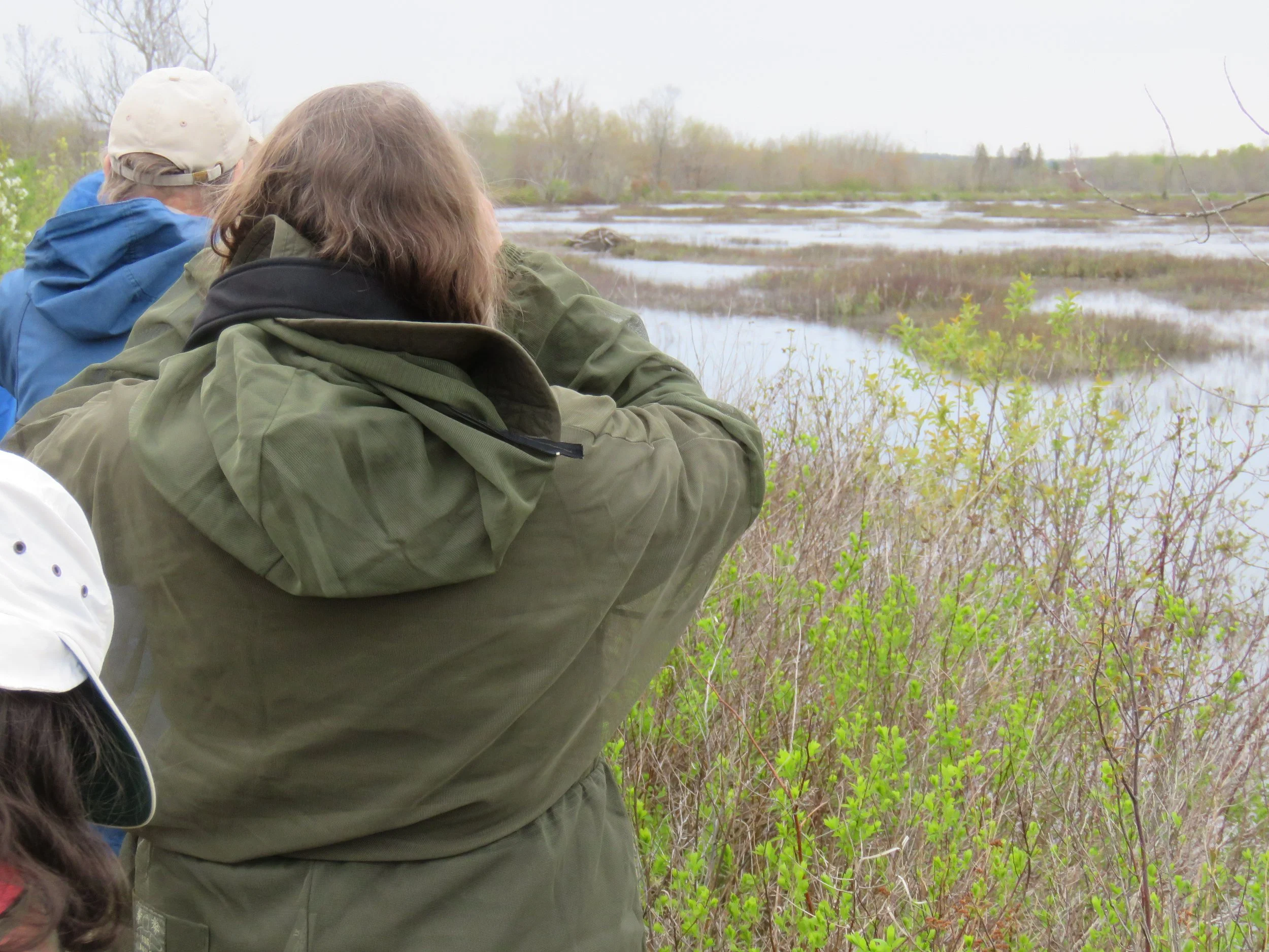 Barn Meadow Trail Hike