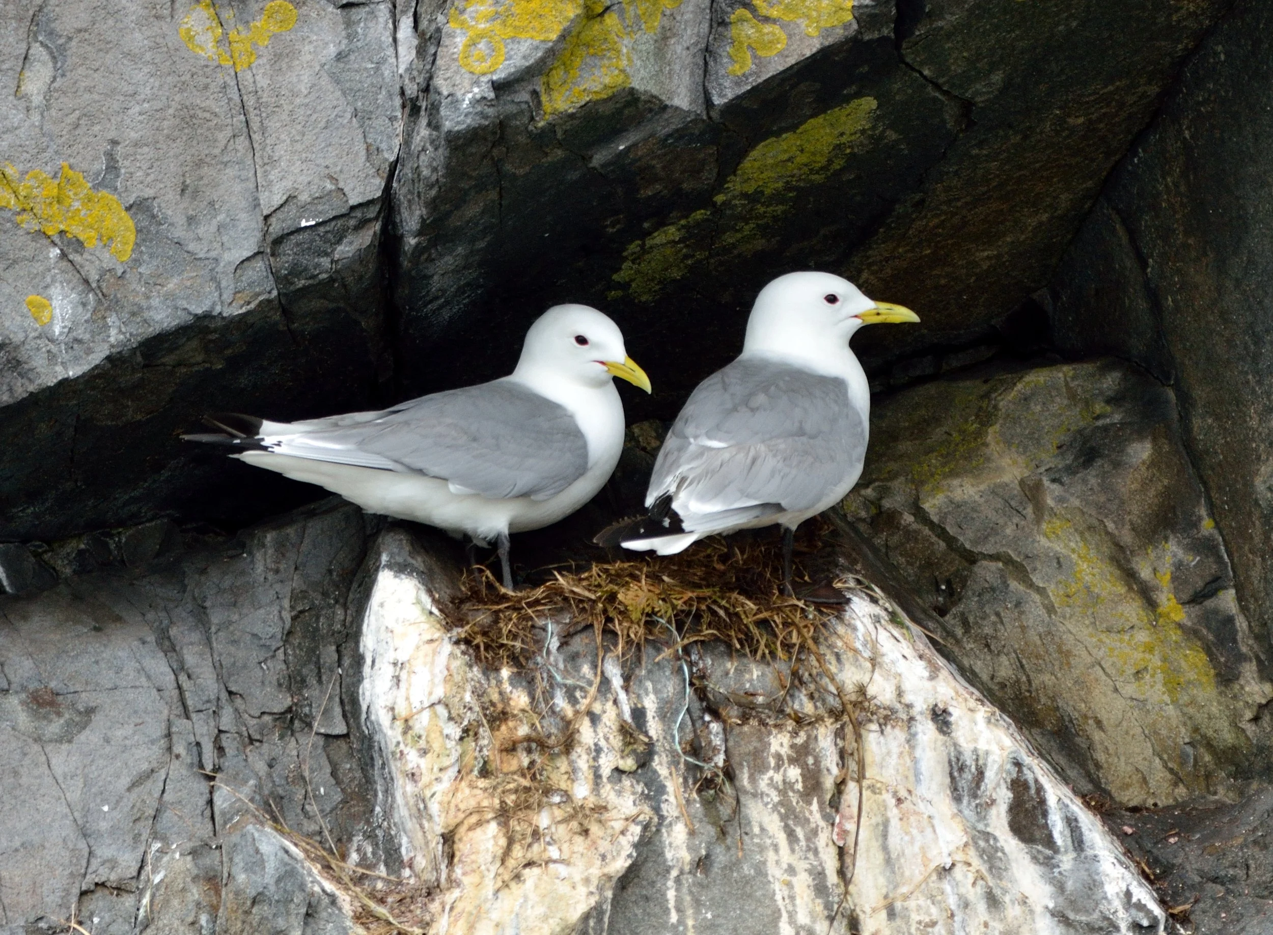Head Harbor Boat Trip