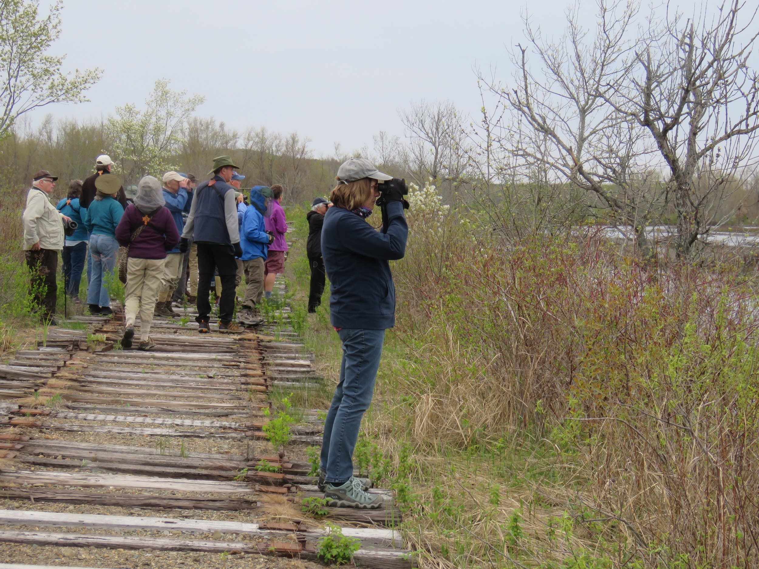 MNWR 2019 Marsh walk IMG_3736.JPG