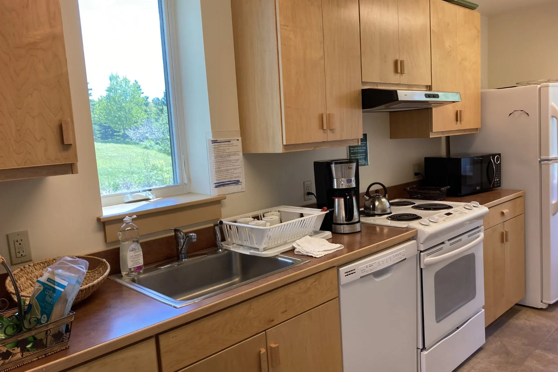 Untitled (6 x 4 in) (3).jpg