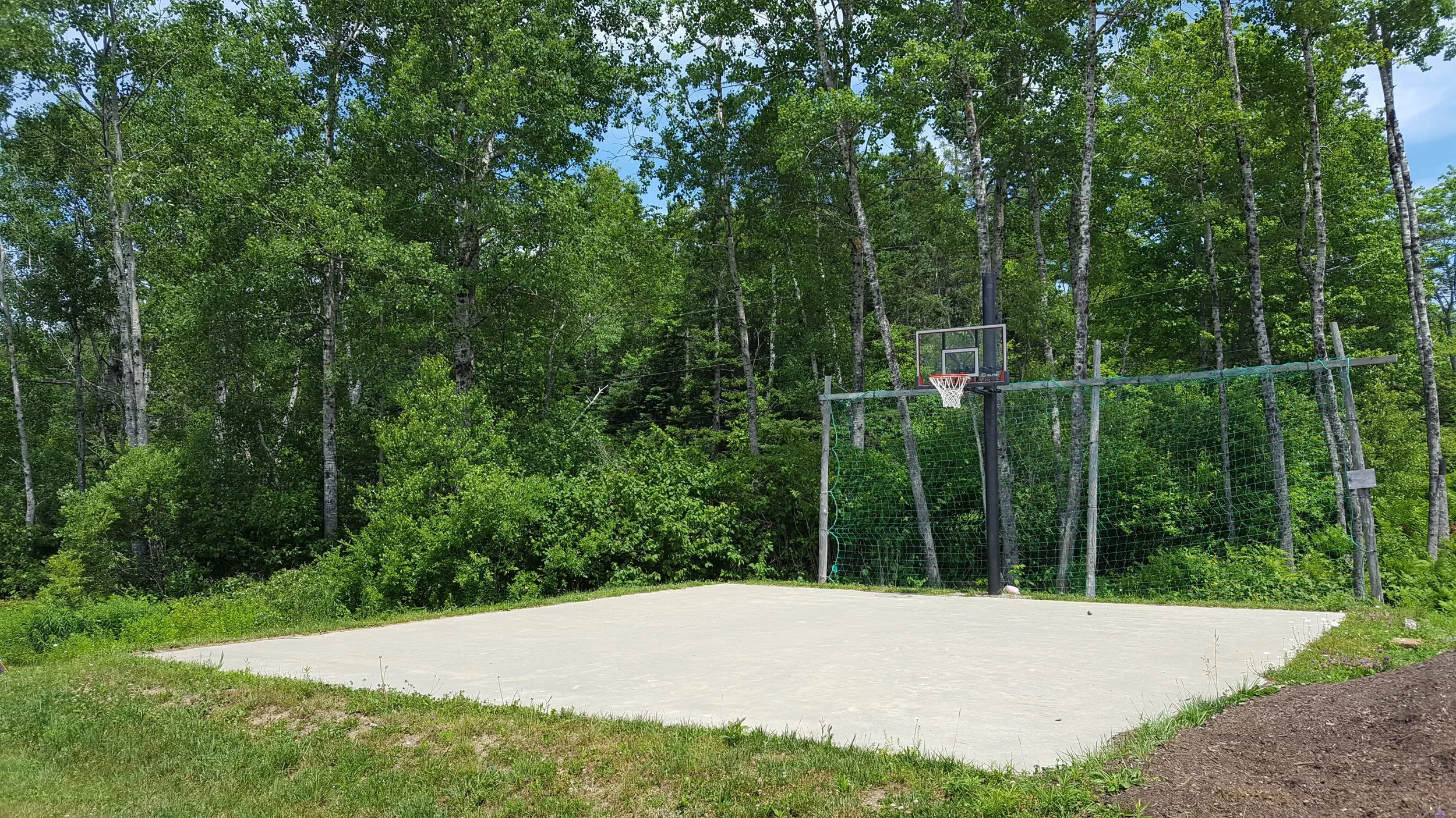 basketball court.jpg