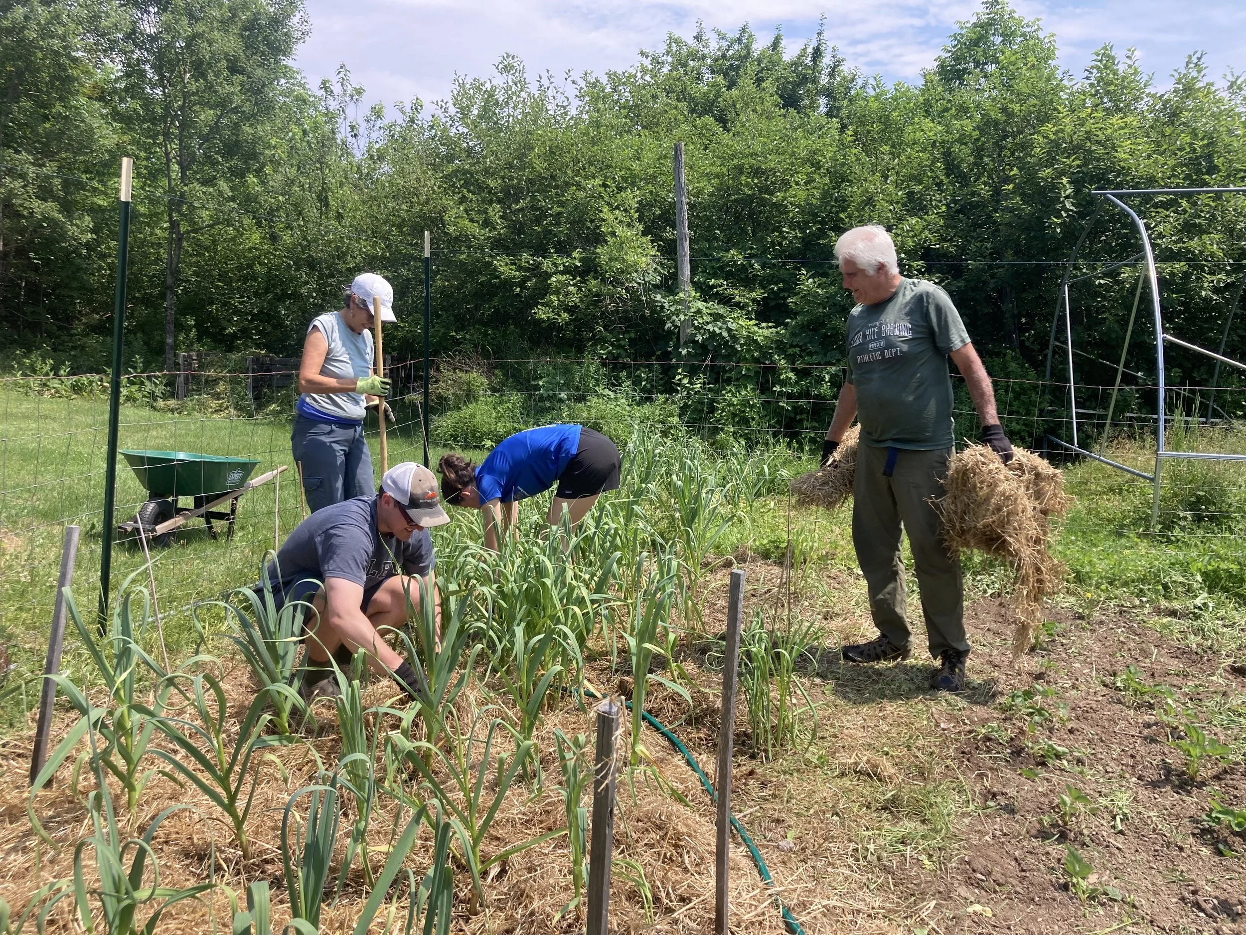 IMG_8709 (1) (2).jpg