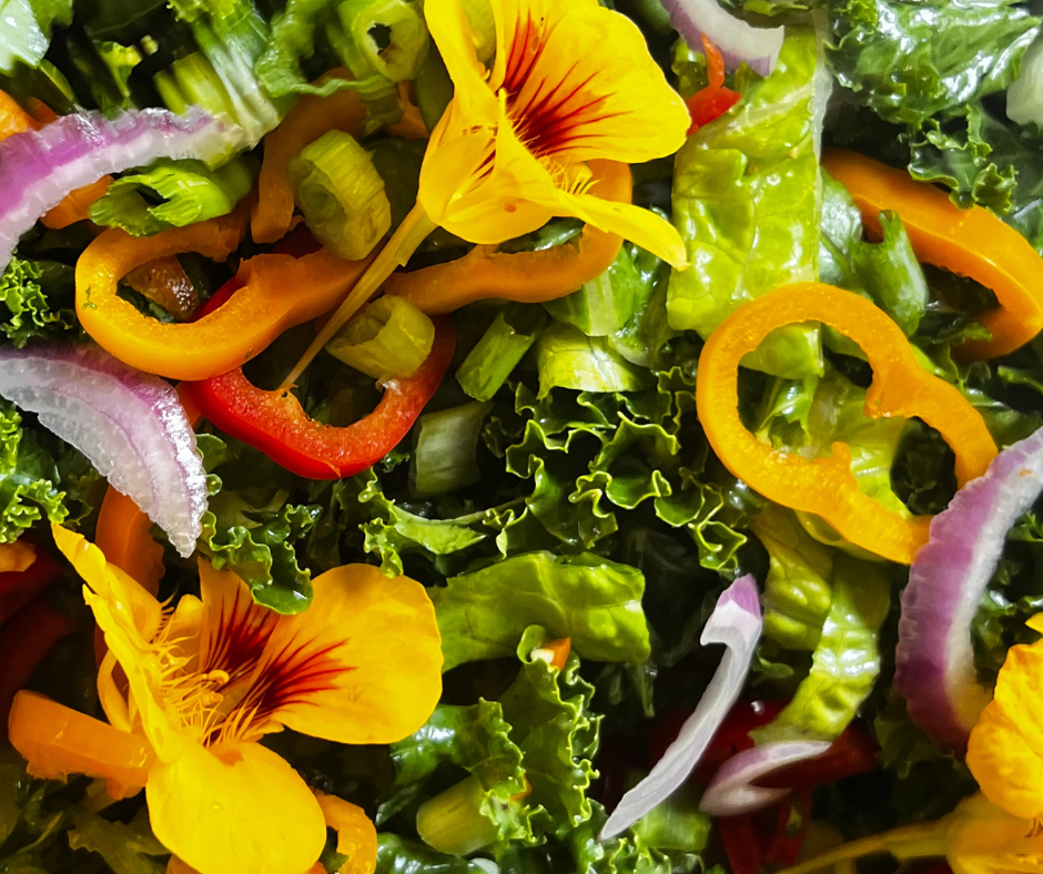 Untitled (Facebook Post).png