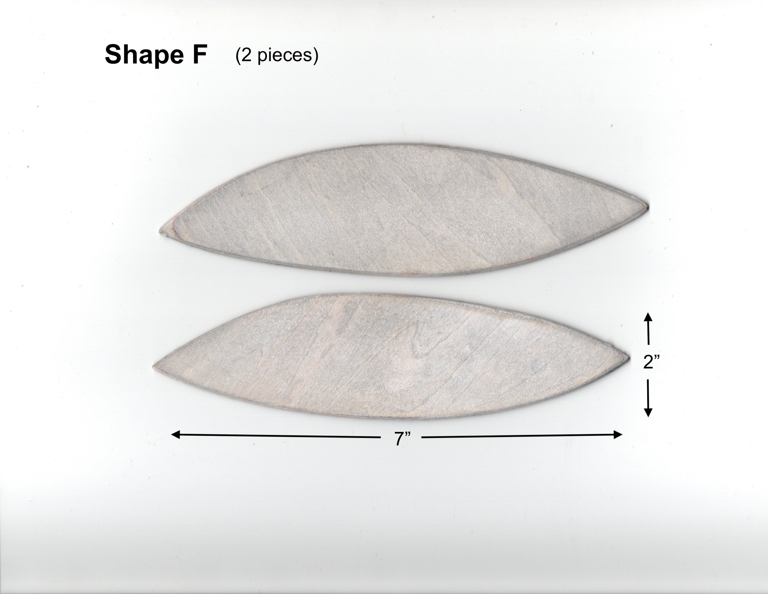 Shape_F_1.2.jpeg
