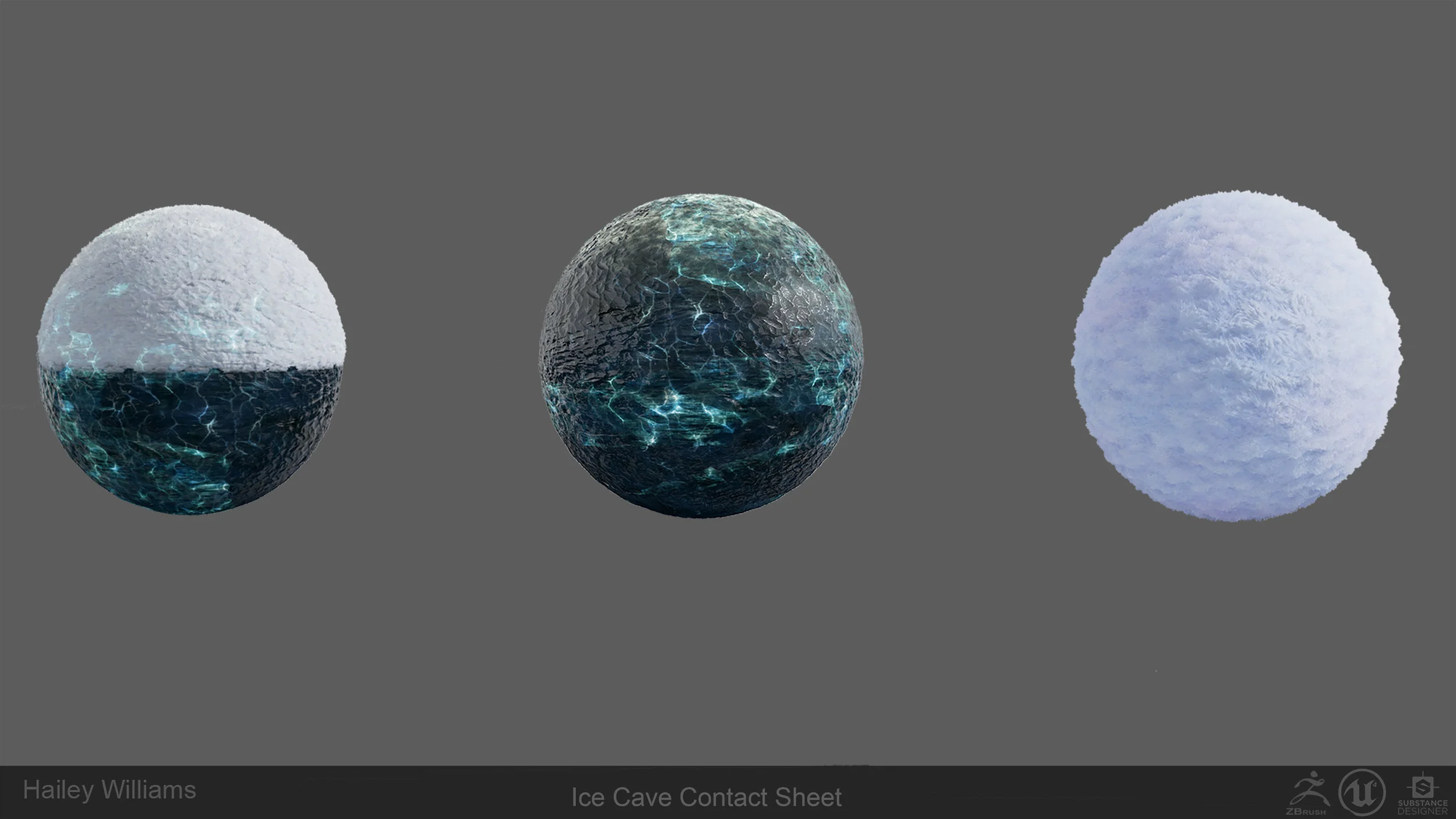 hwilliam_biome_Contact1.jpg