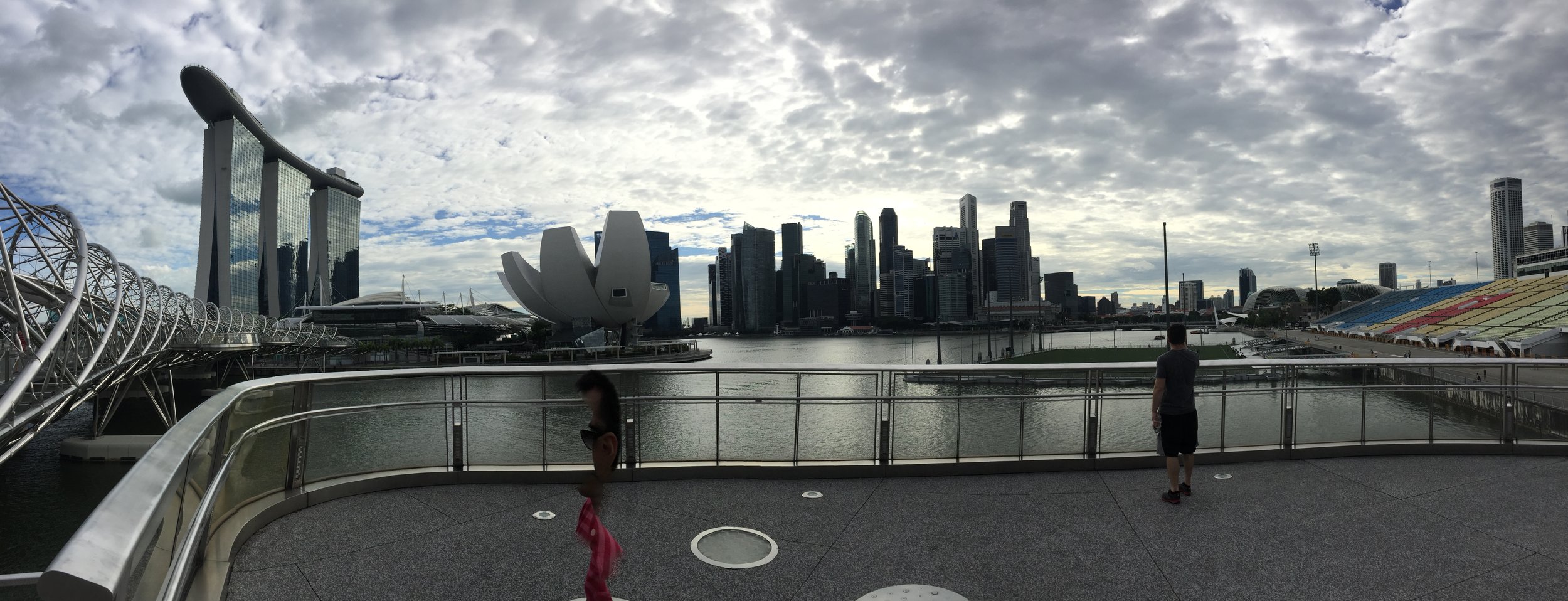 One of the many watershed views of Singapore's skyline. The building towards the far left consists of three skyscrapers, which hold up a deck the size of a small cruise liner on top of them, covered in palm trees and cafes.