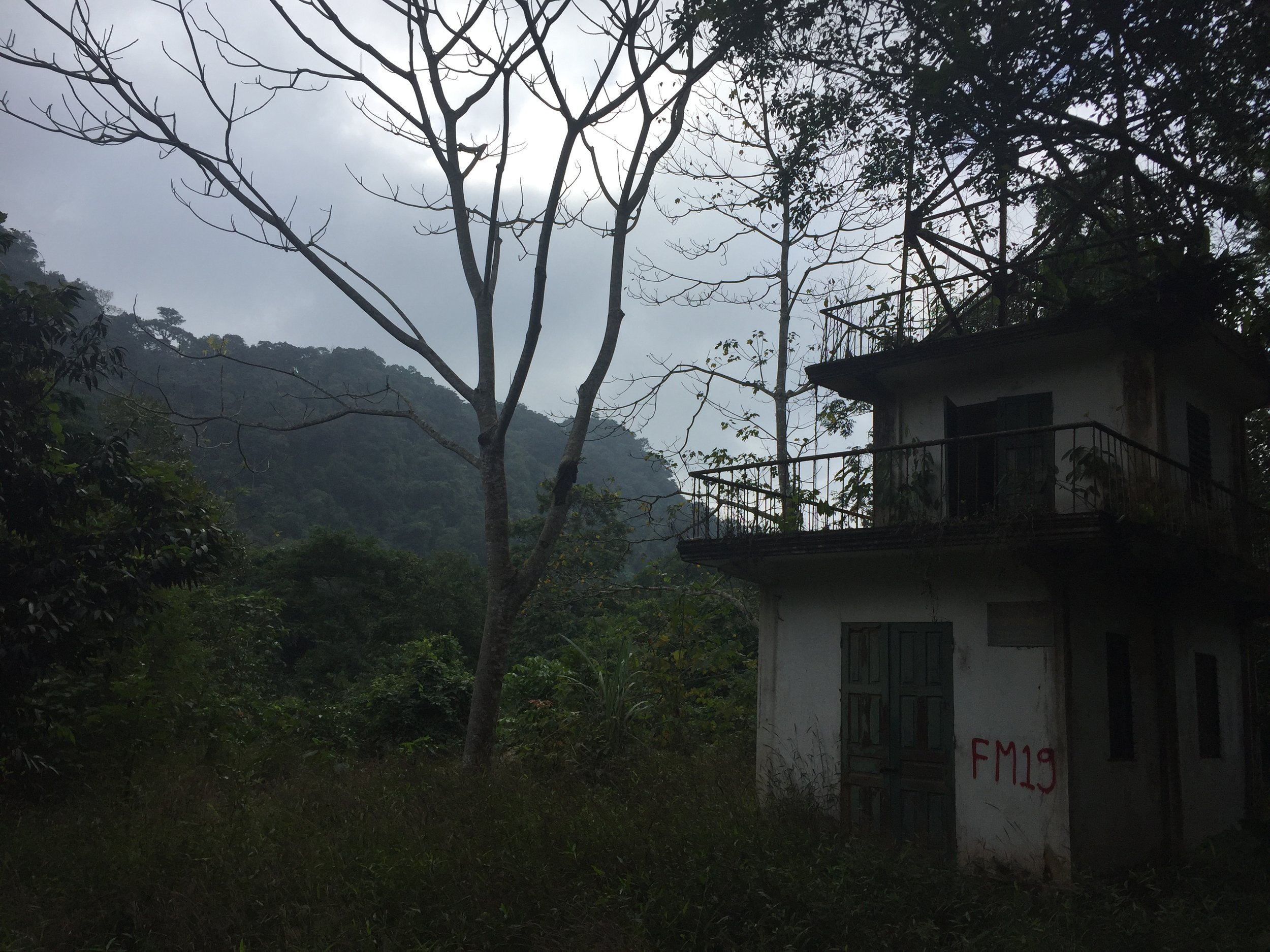 IMG_2722.jpeg