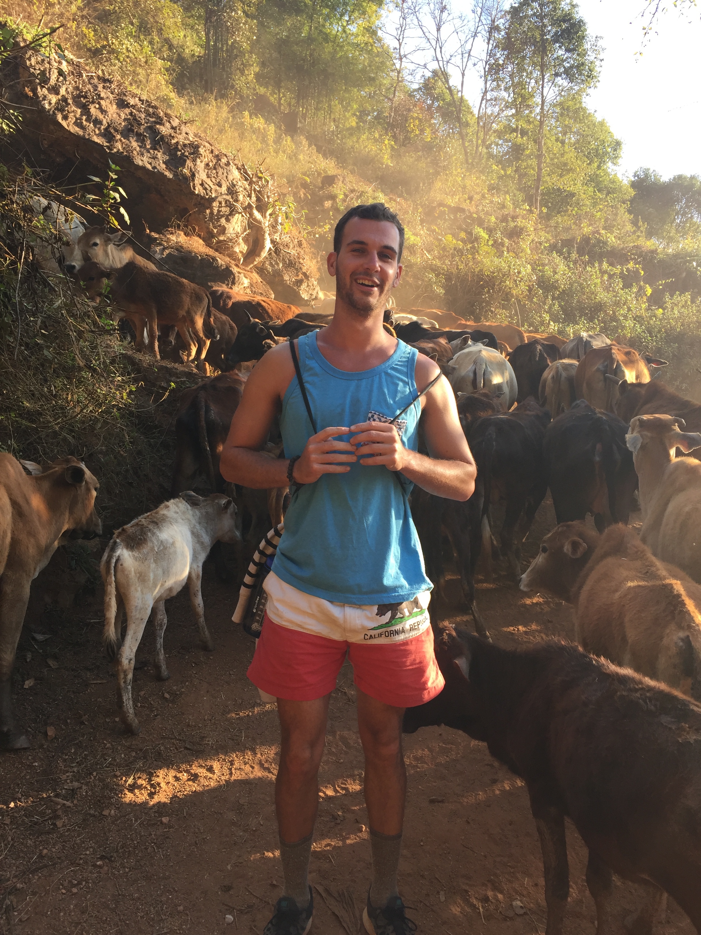 Making new friends: traffic jam on the trek.
