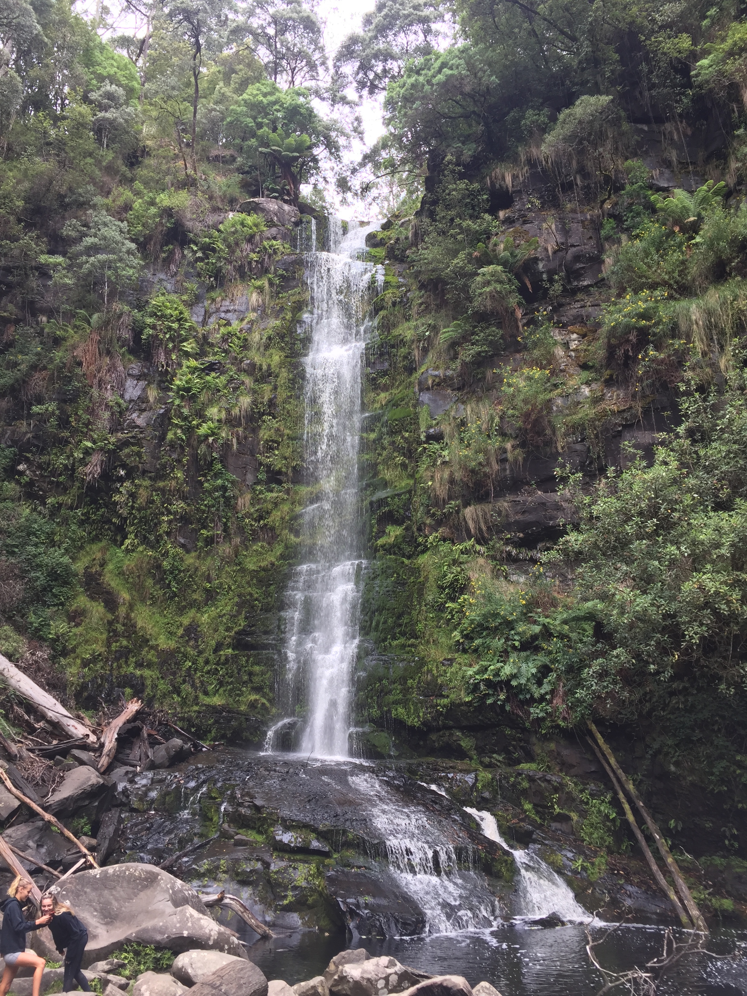Erskine Falls, along the Great Ocean Road.