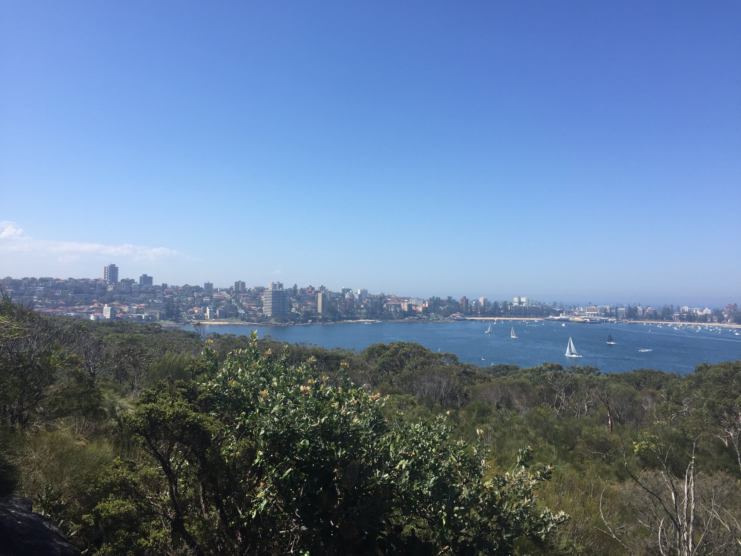Views back onto Sydney from the Manly Beach hike.