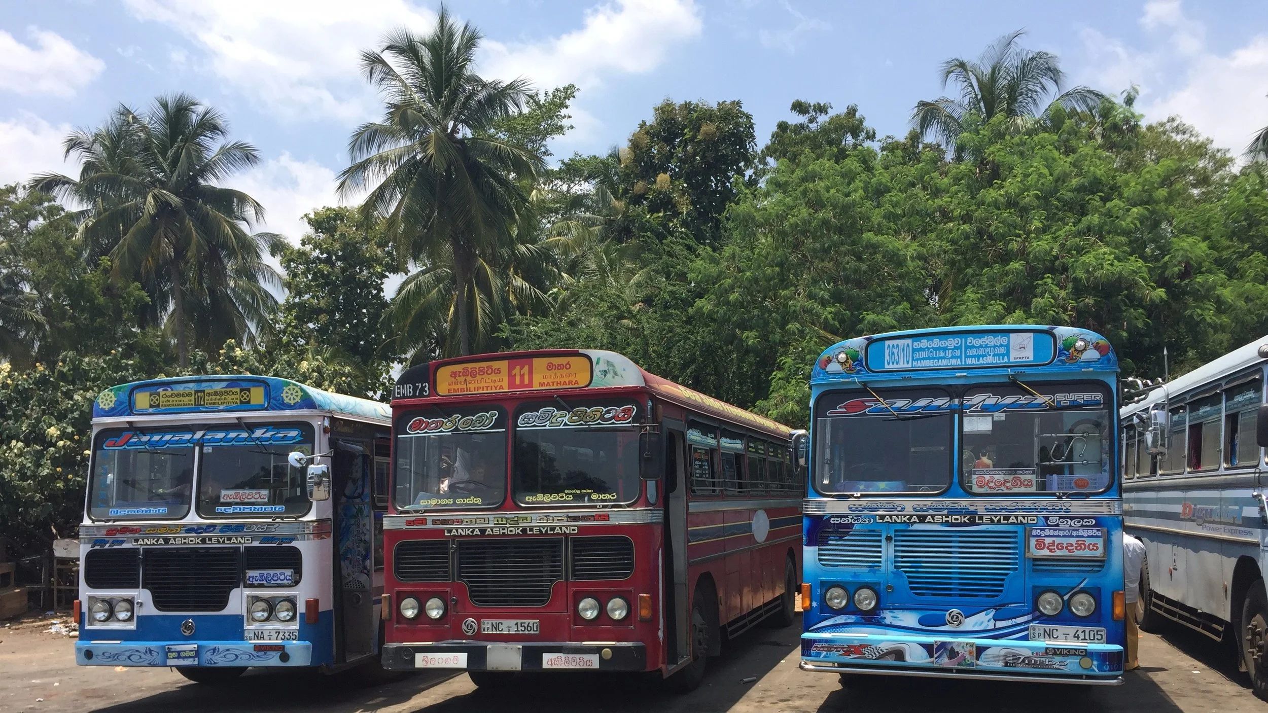 surf, safari, Sri Lanka