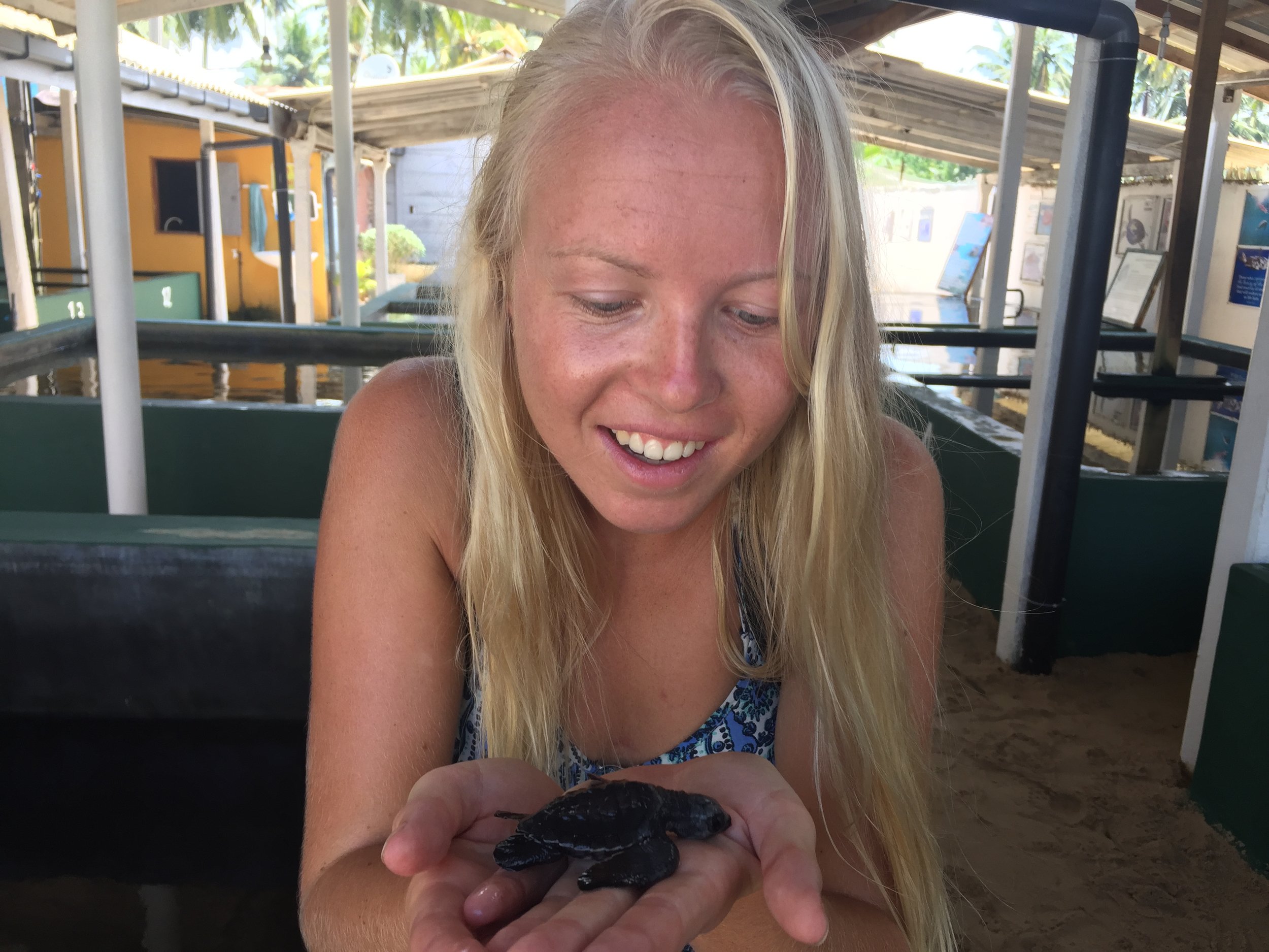 I had to restrain Nasjara from stealing all the turtles for herself.