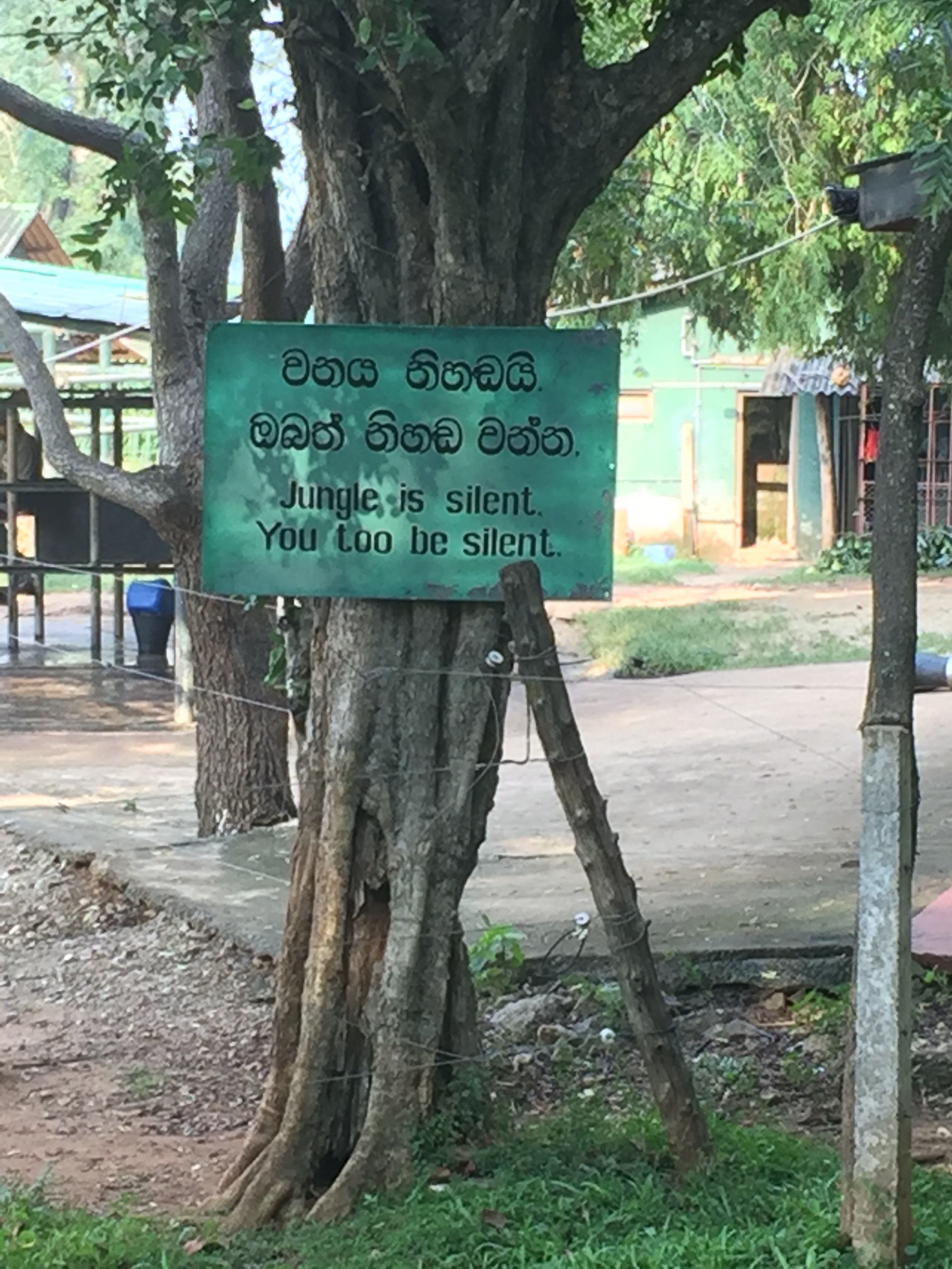 My favorite elephant orphanage sign.