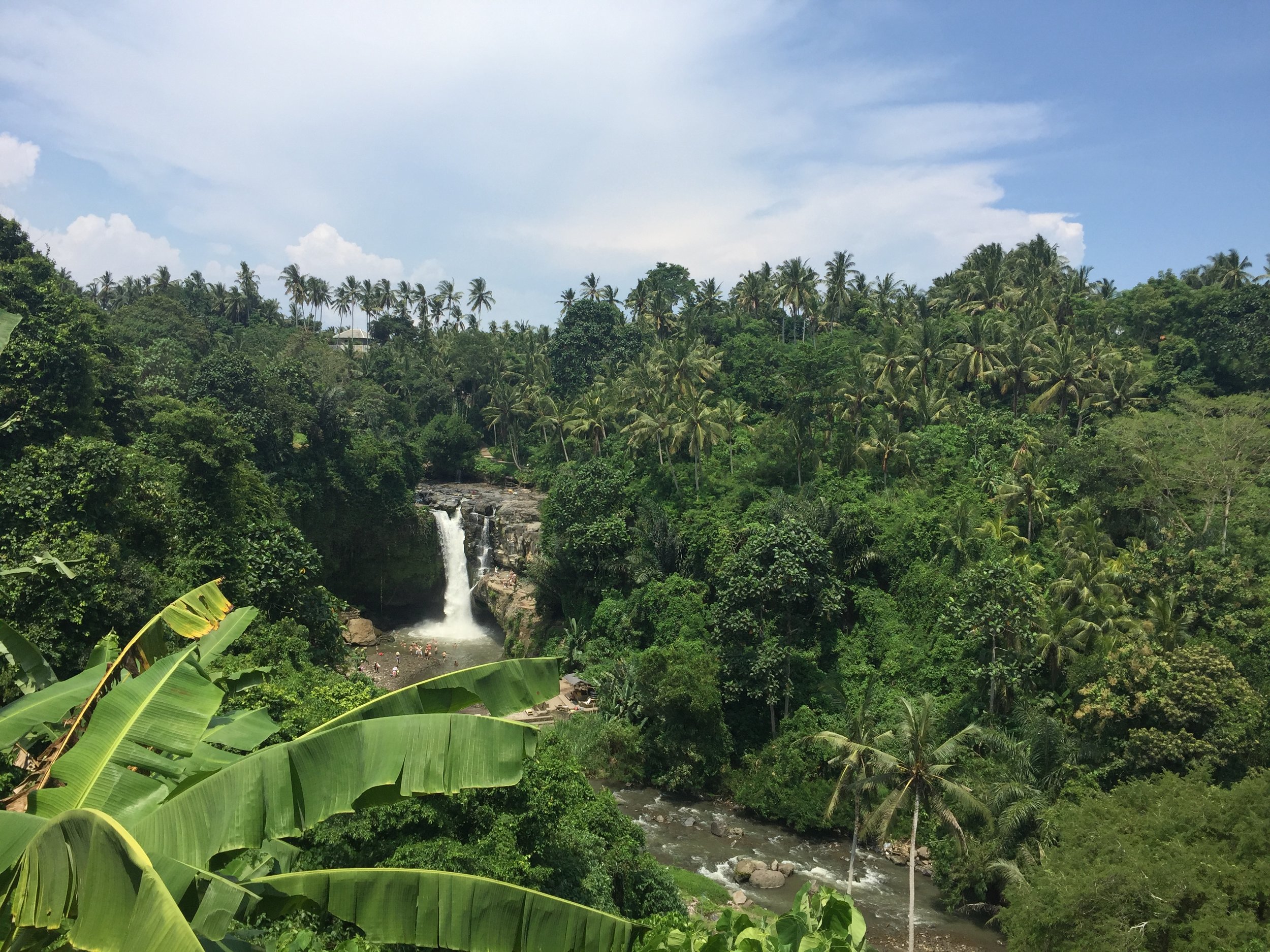 The Tegenungan waterfalls.