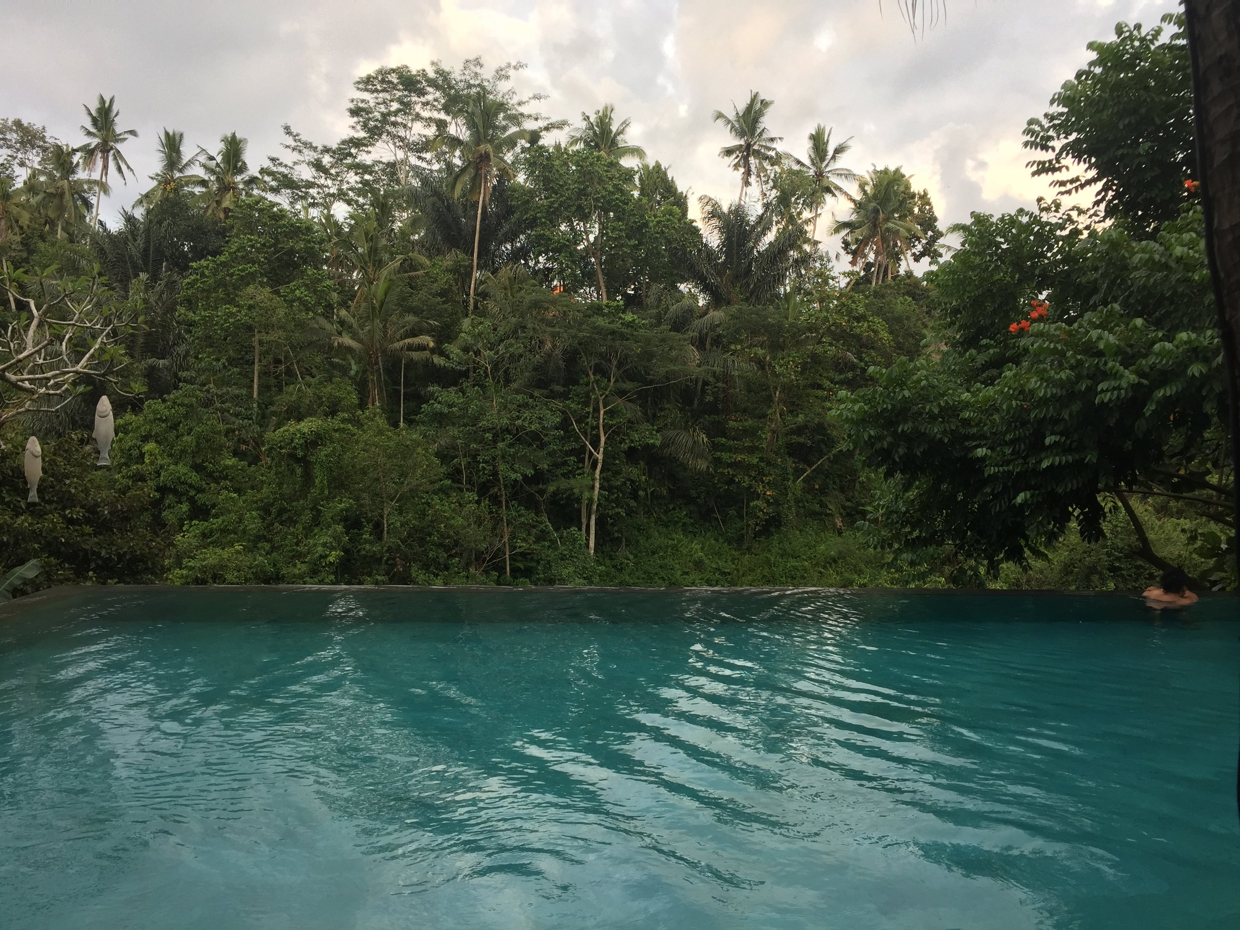 The view across the pool at Jungle Fish.