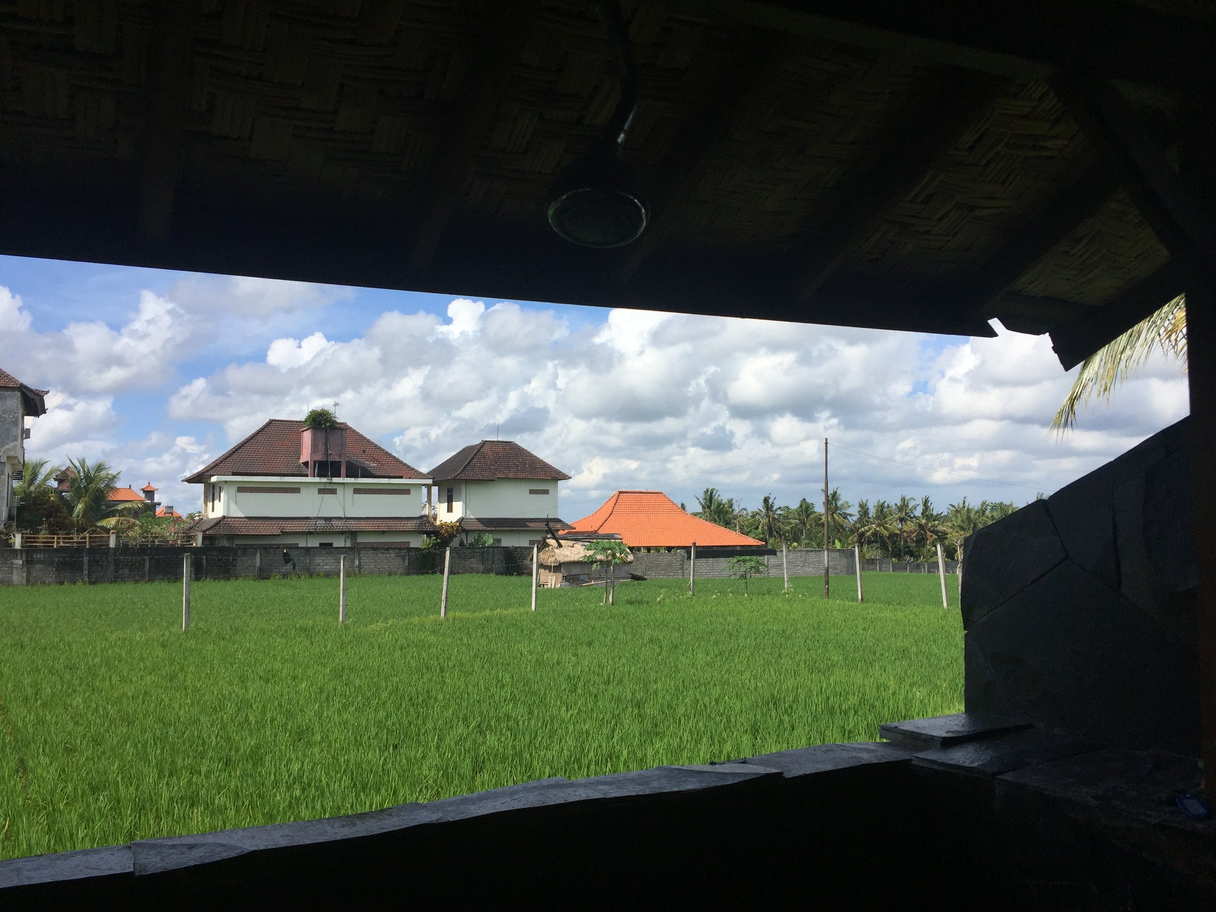 The view from our hostel shower.