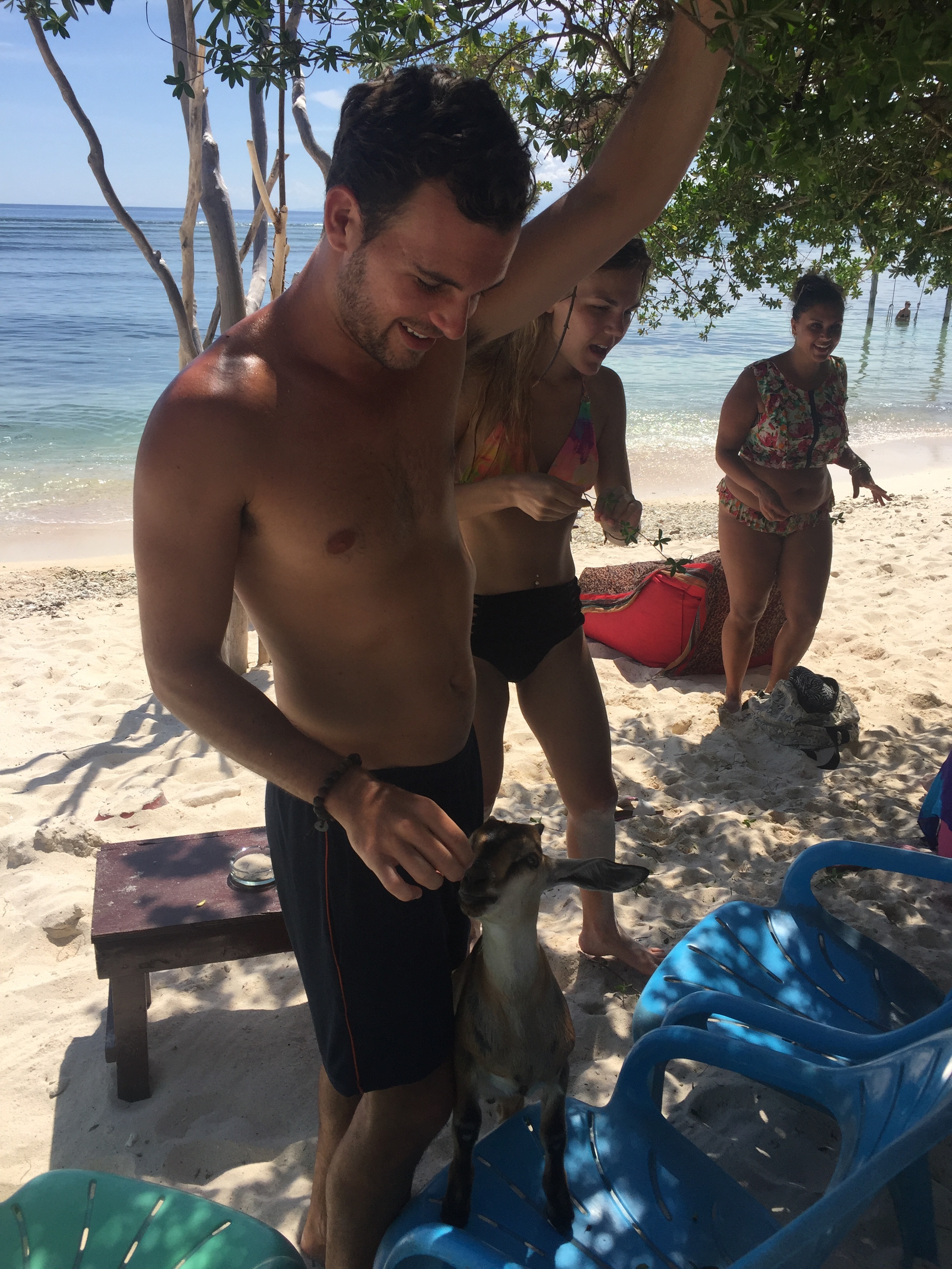 Feeding our new friends.