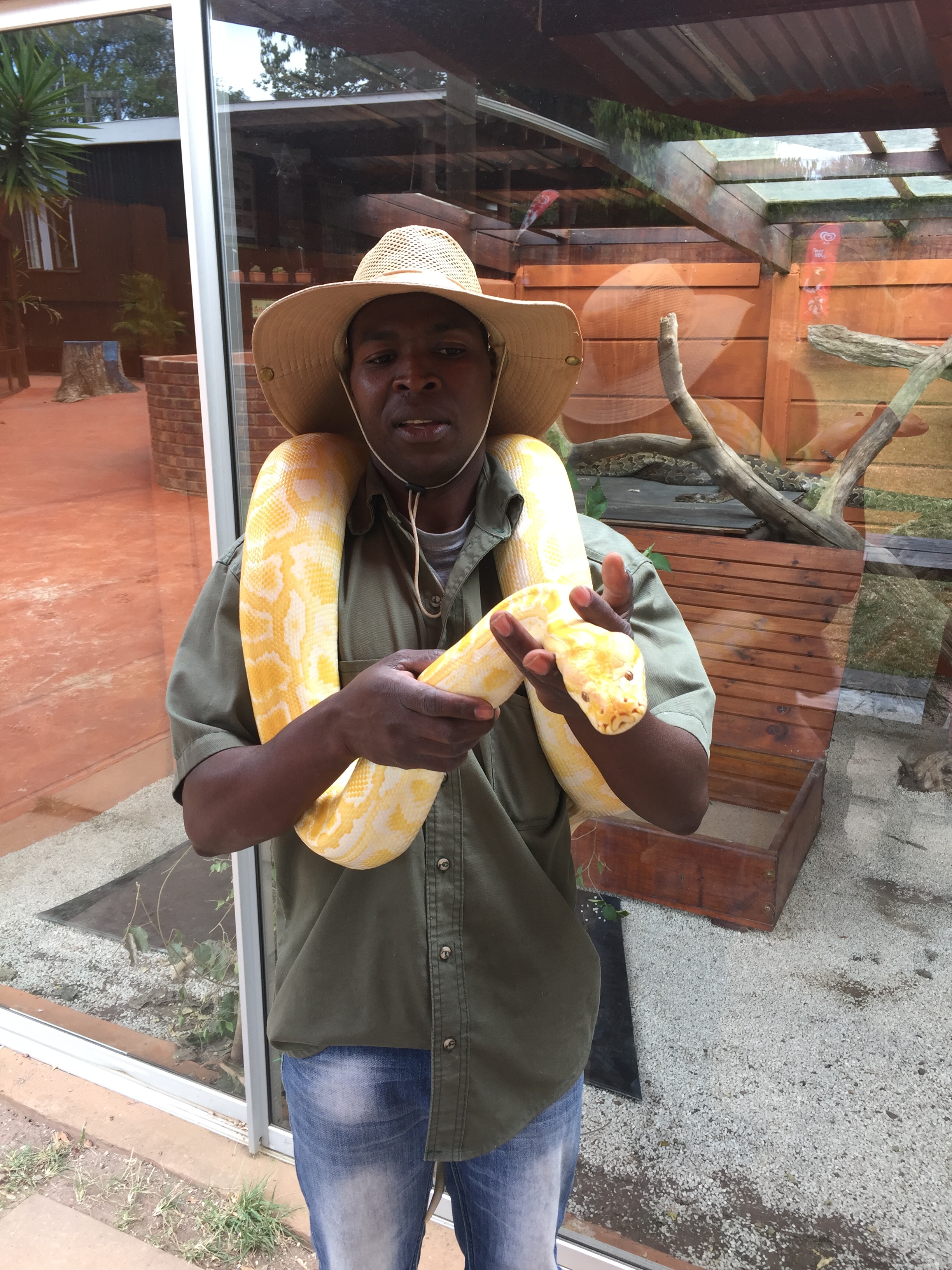Stopping to fondle some snakes at a snake farm.