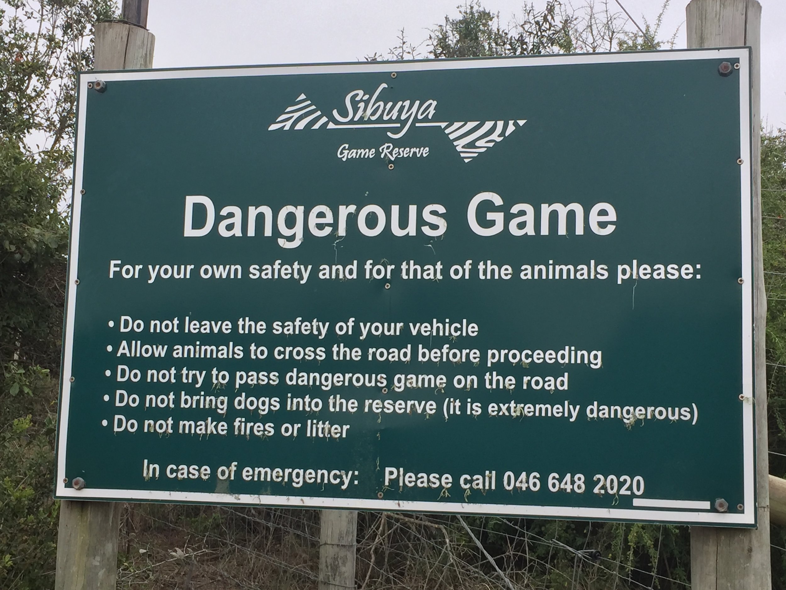 Naturally, when Dan and I saw this, we drove in to check.