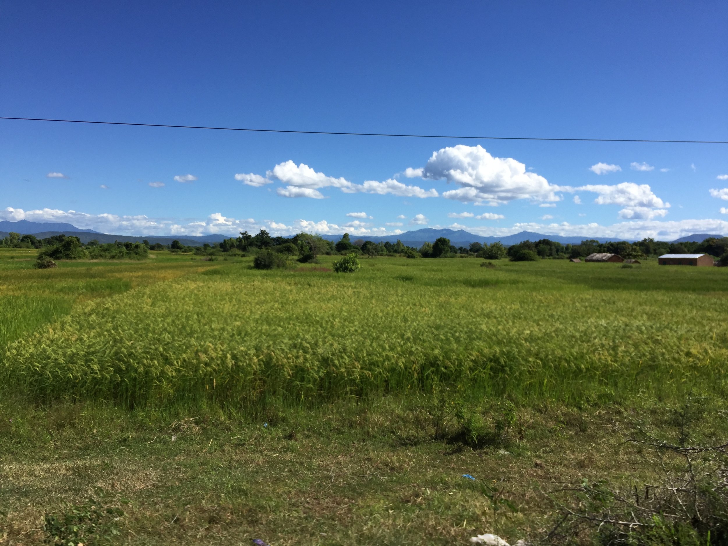 The rolling hills and fields of Malawi are a beautiful bright green - untouched by anyone but farmers.