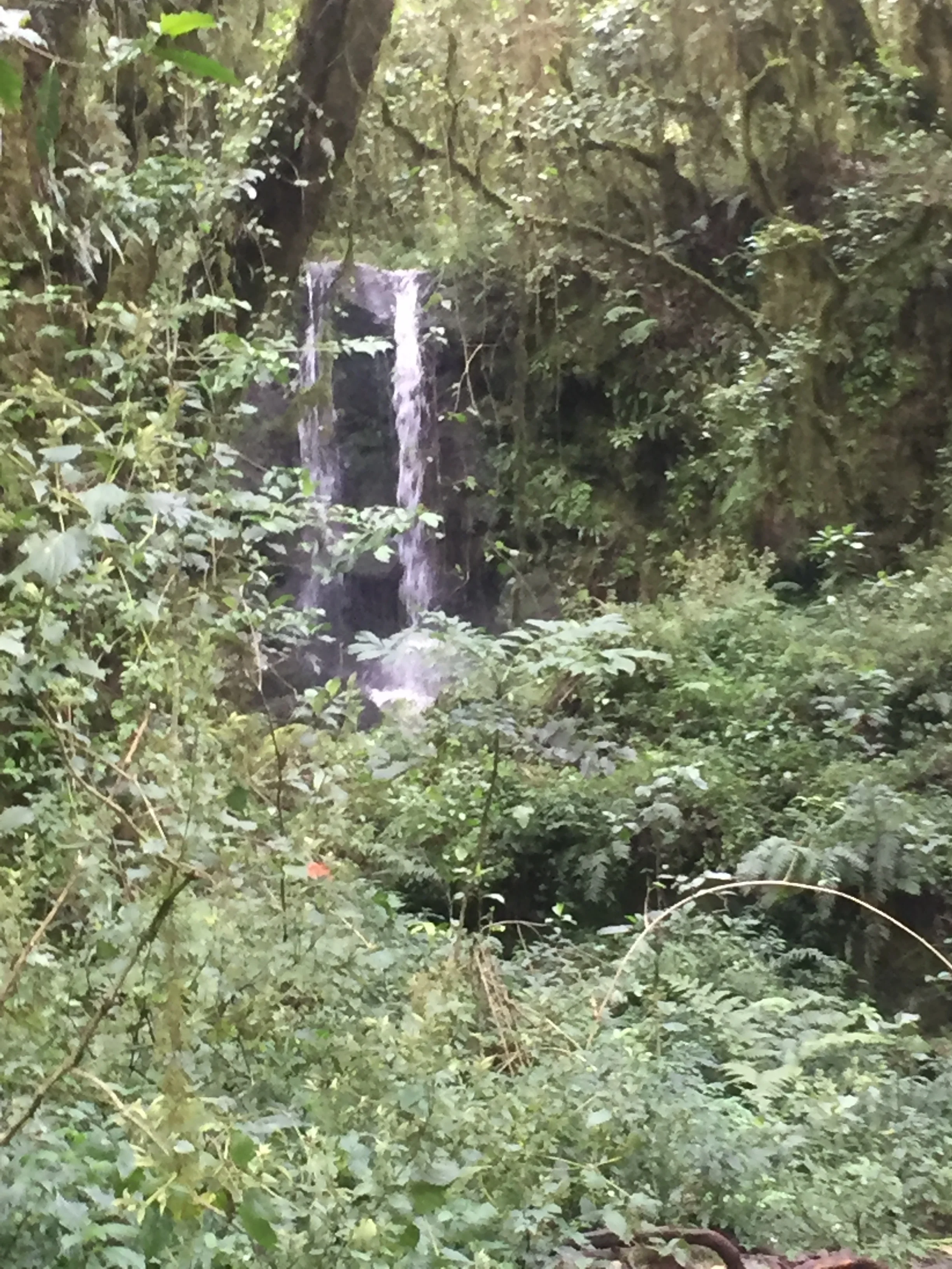 Waterfalls on the way up the mountain.