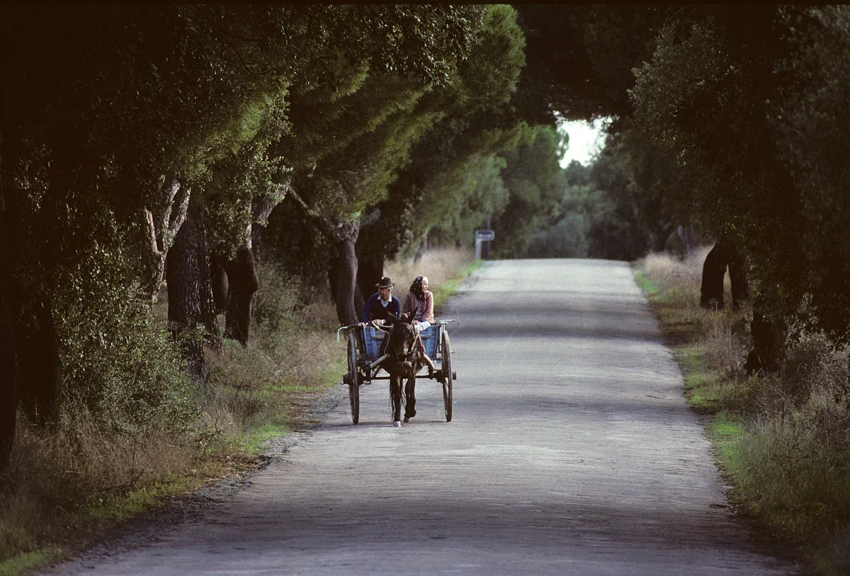 PORTUGAL-05p.jpg