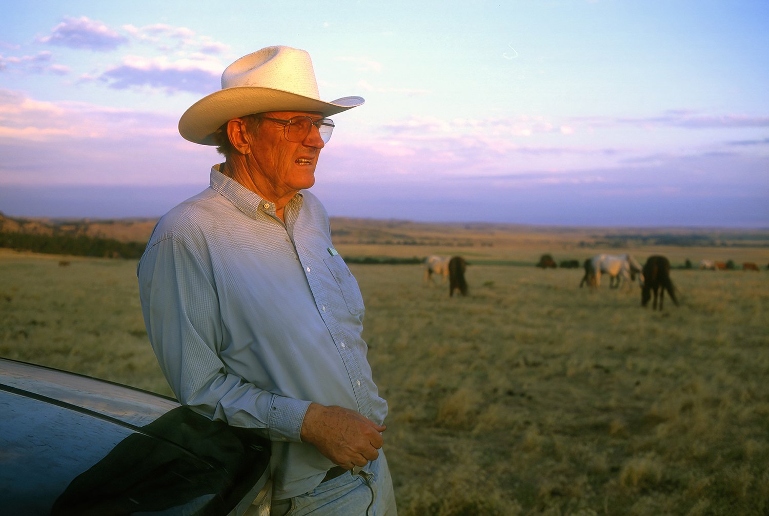  Dayton O.Hyde, Black Hills Wild Horses Sanctuary 