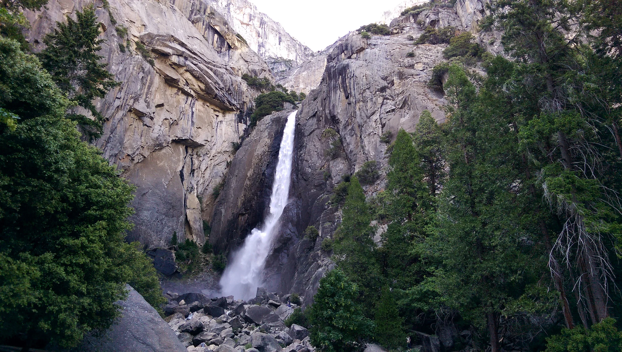 IMAG8625.jpg