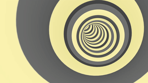 WS_Universal_1920.gif