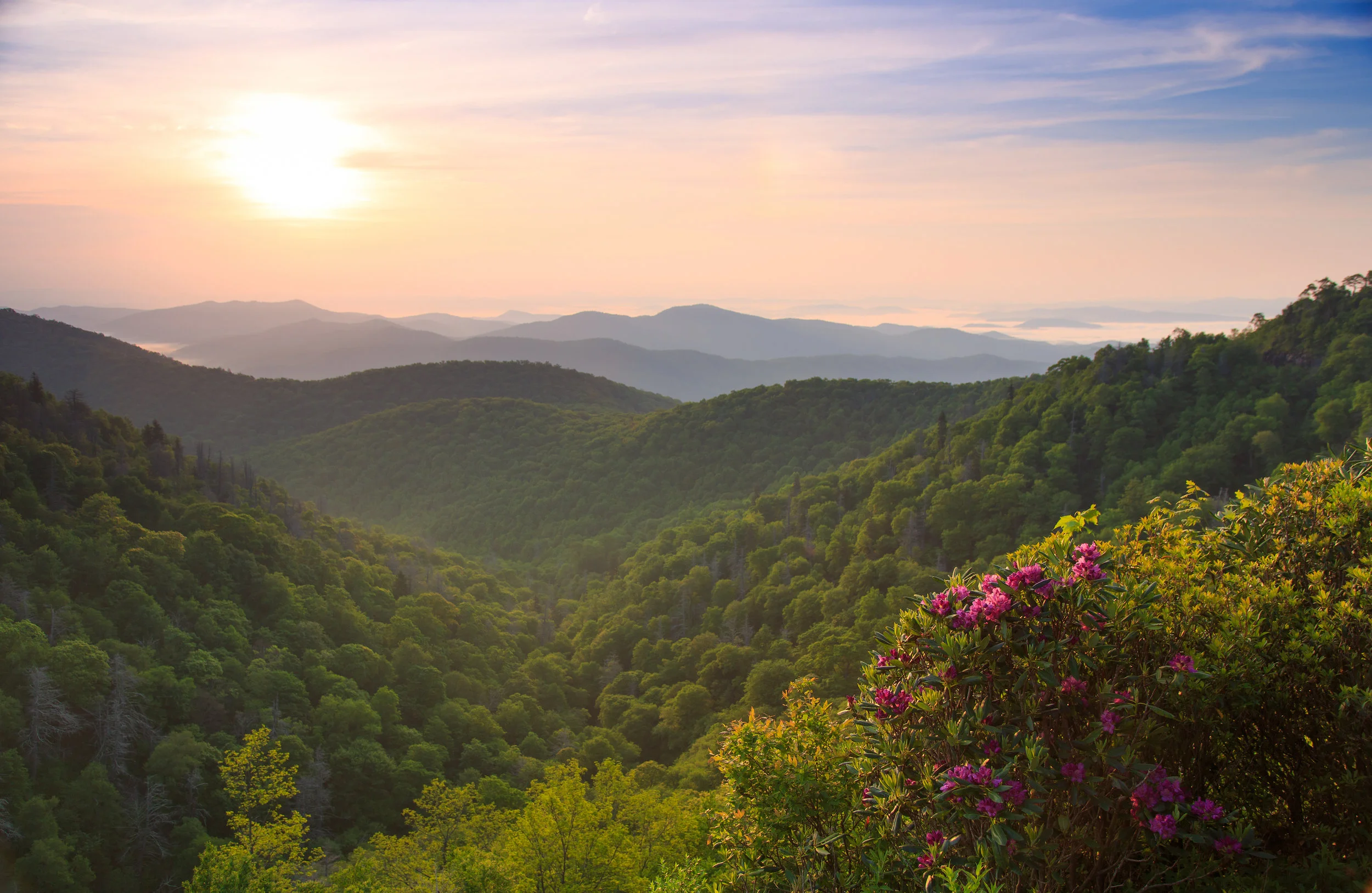 sunrise-sping-2014-sunrise-38-2 copy.jpg