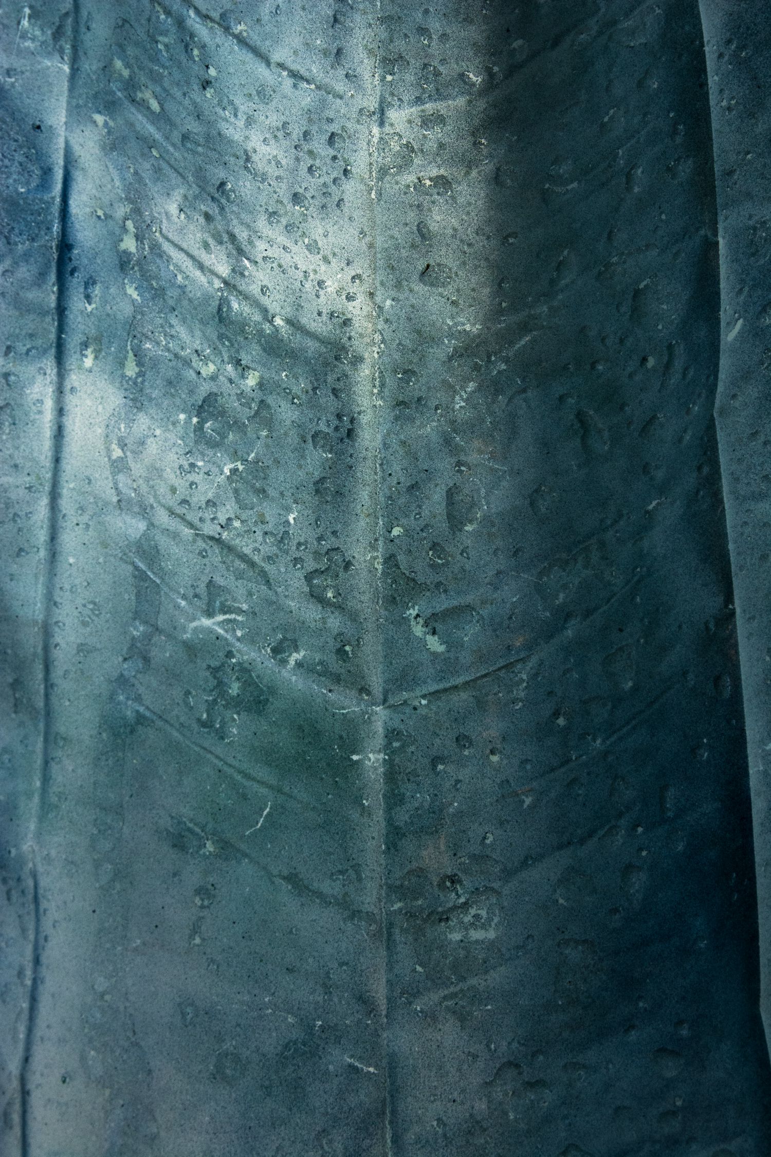 Seven Days of Rain, detail