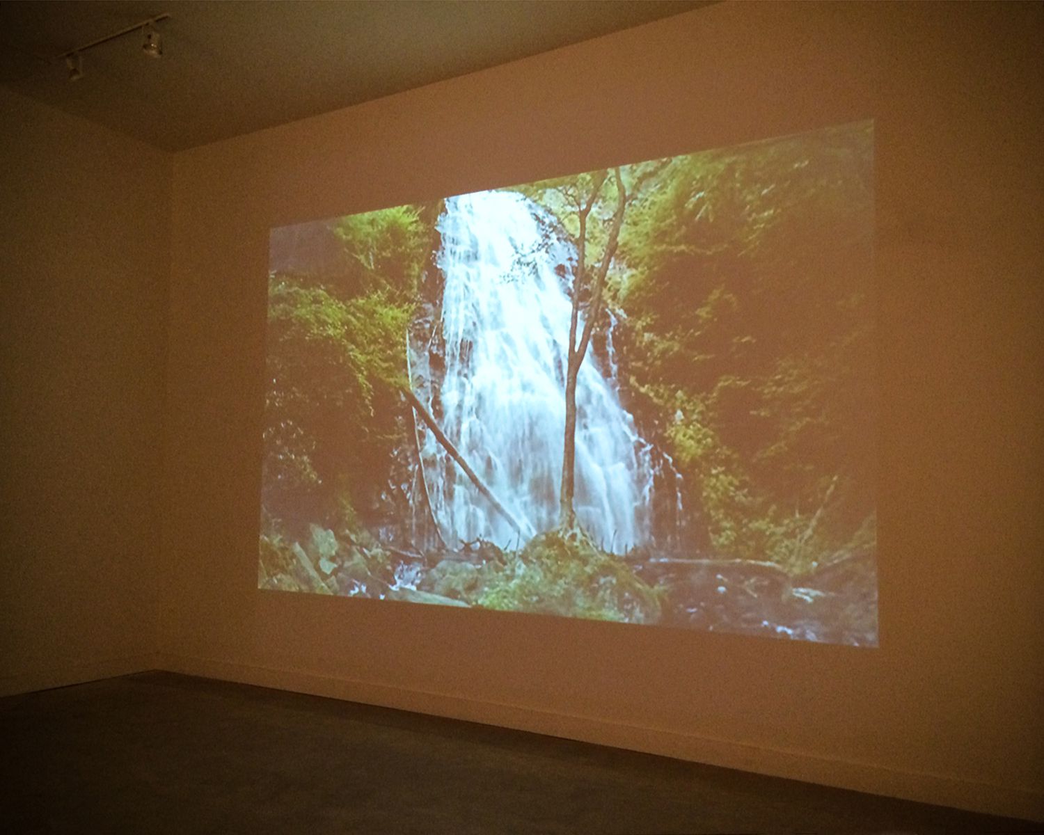 Falls