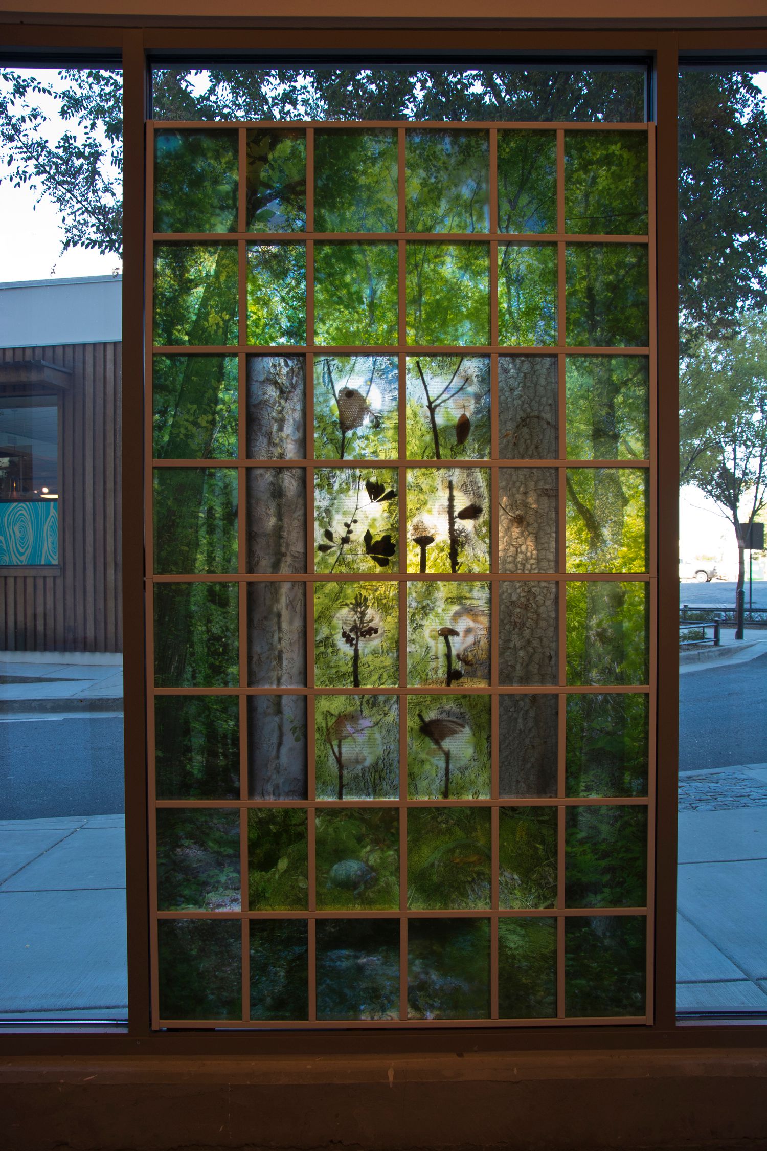 OldForestRemnantLight10.jpg