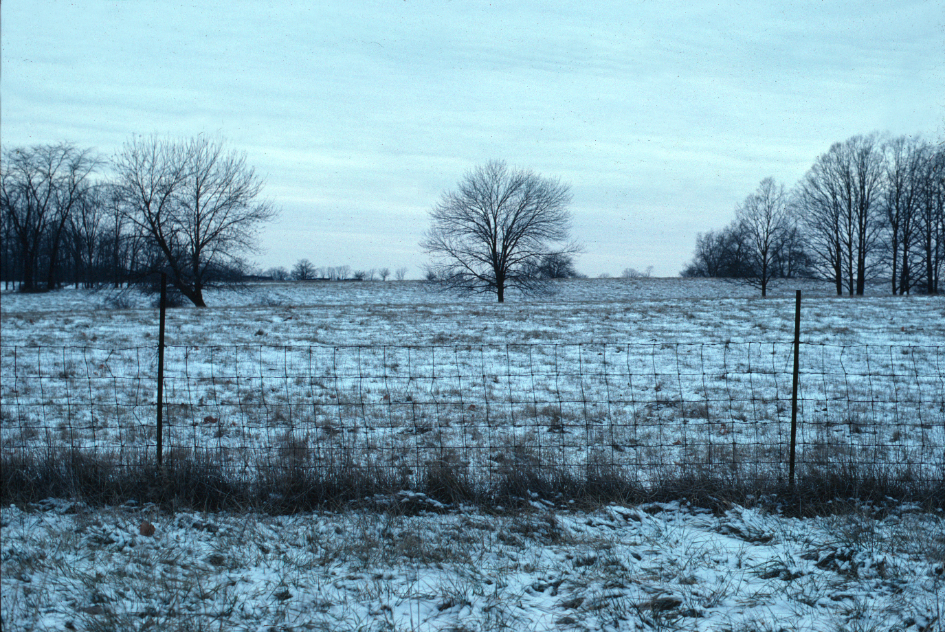 Fence: Field